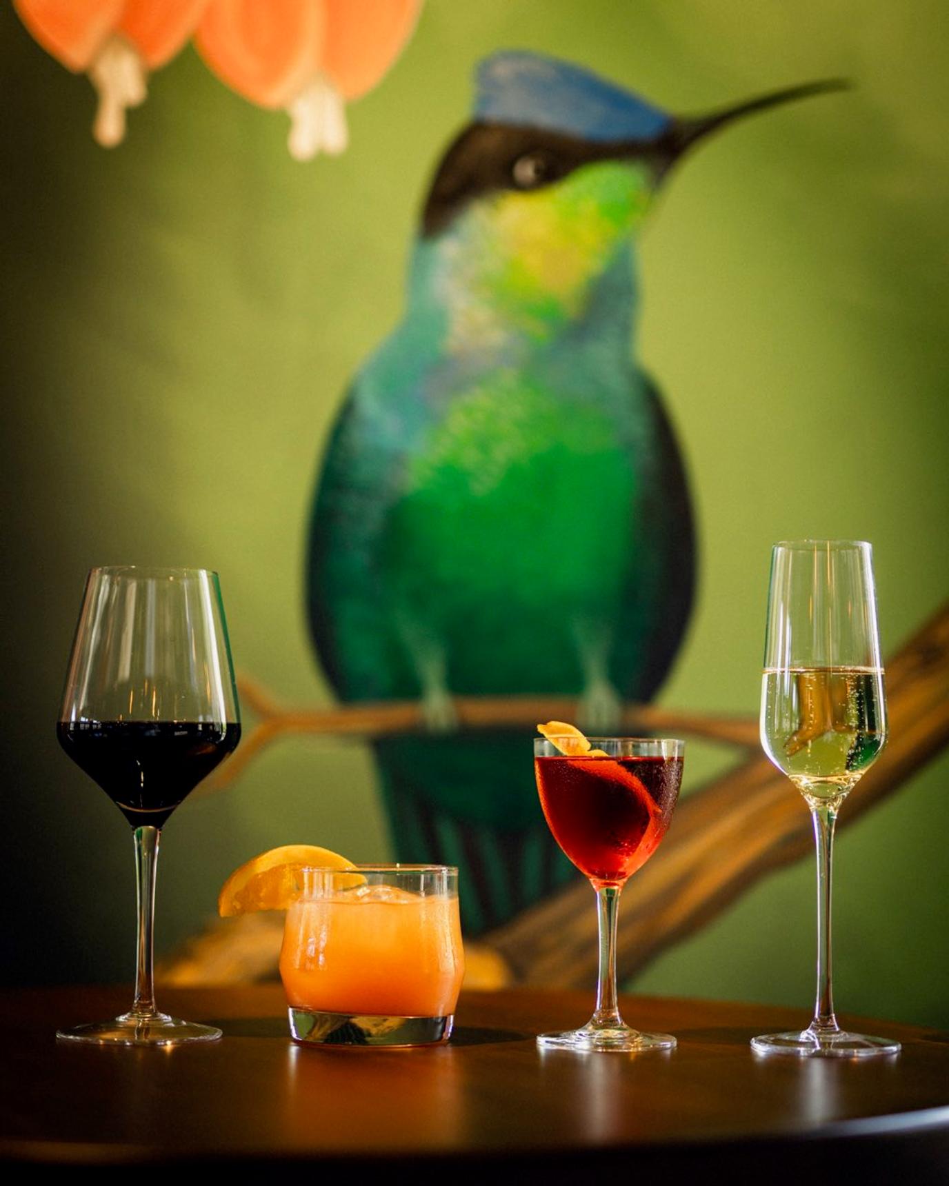 Darin Knupp—Colibri which is hummingbird in French