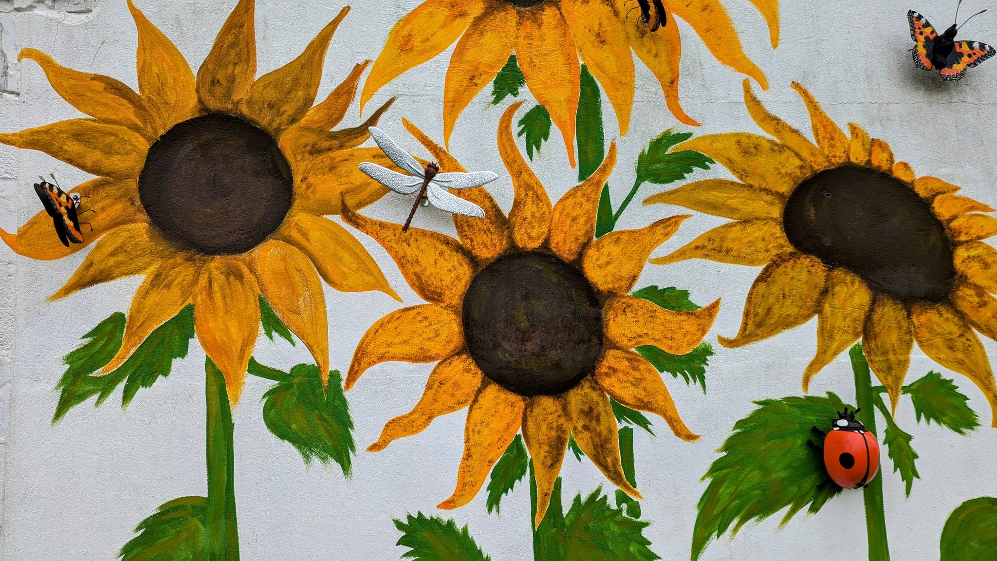 &mdash;Sunflowers