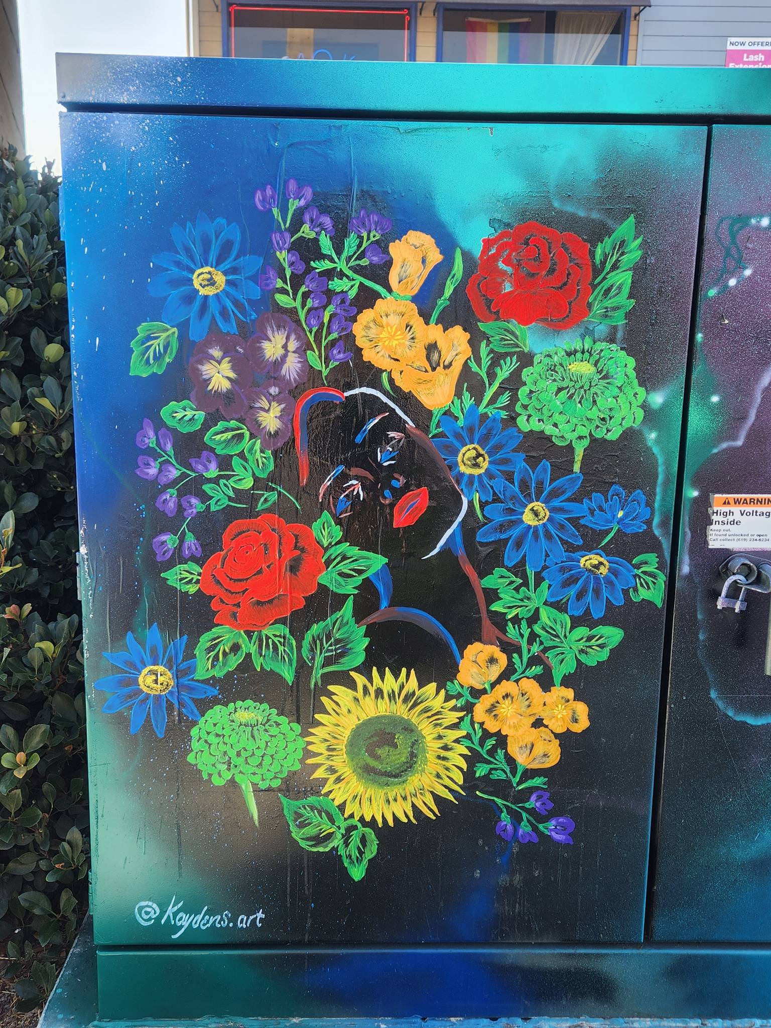 kaydens.art&mdash;Flower Face Electric Box