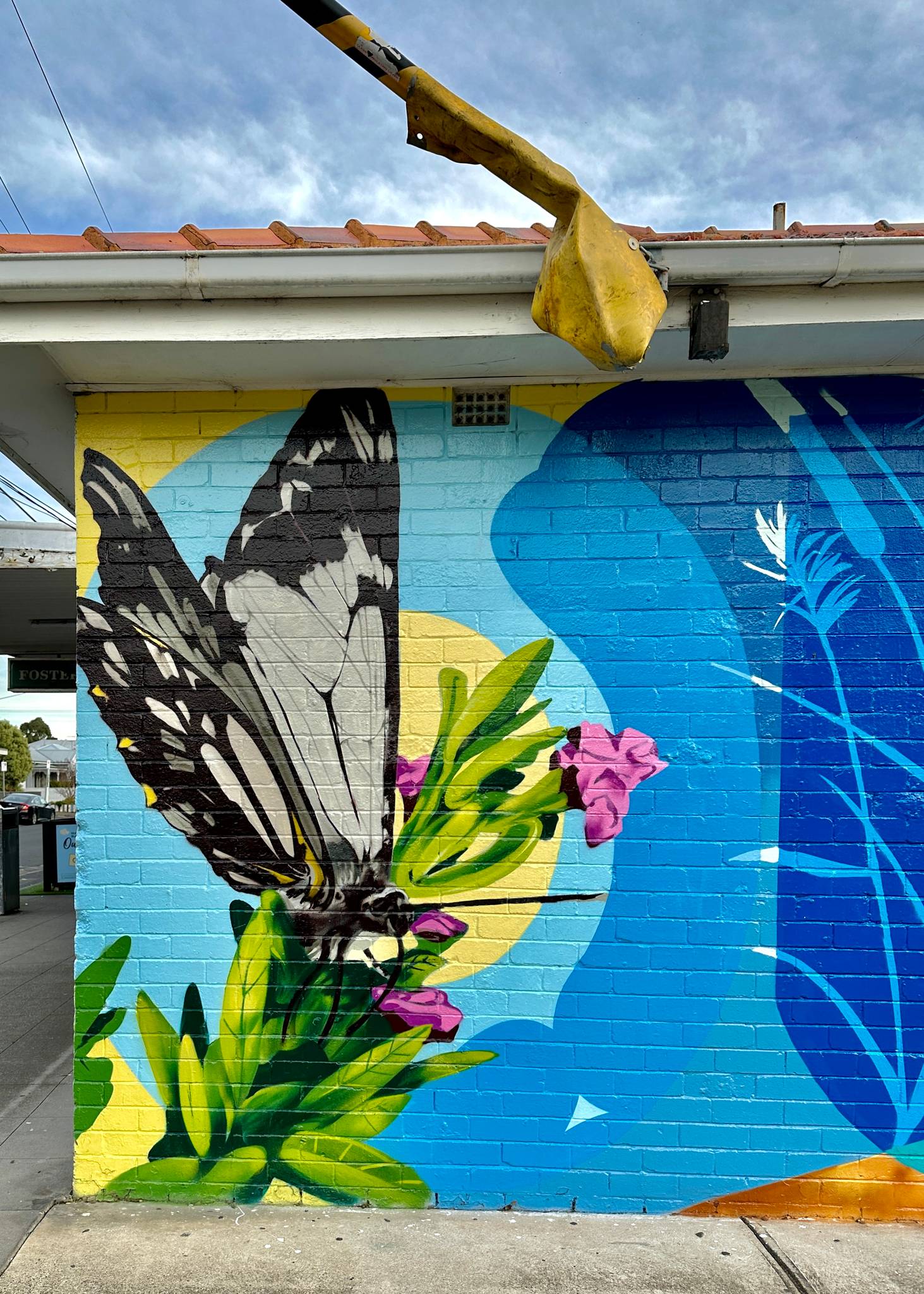 Damien Arena&mdash;Fauna and flora Hobson Bay