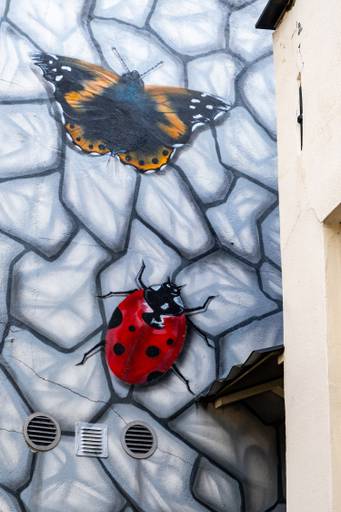 Butterly and Ladybug