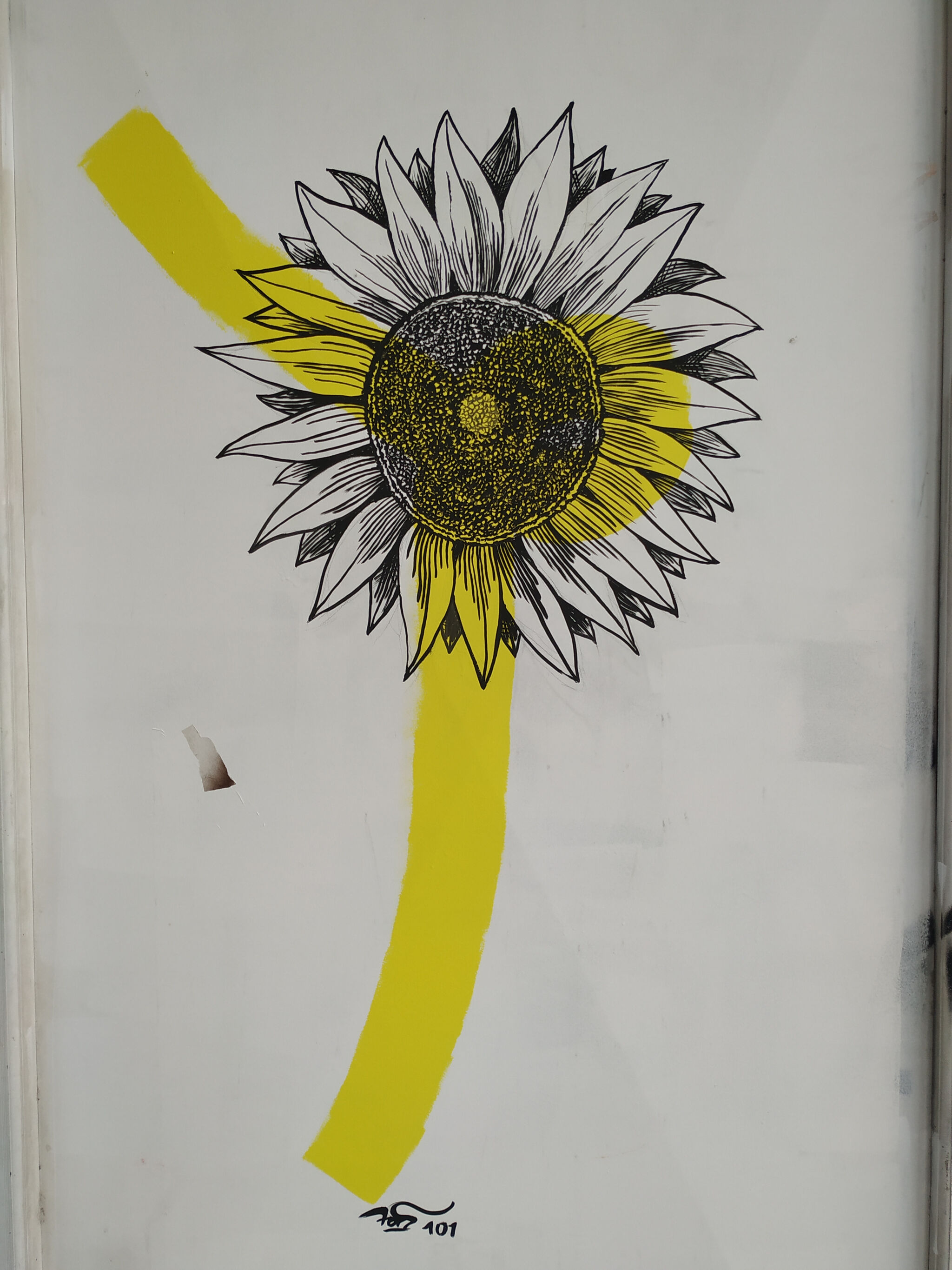 Alex Kataras, Fors&mdash;Sunflower