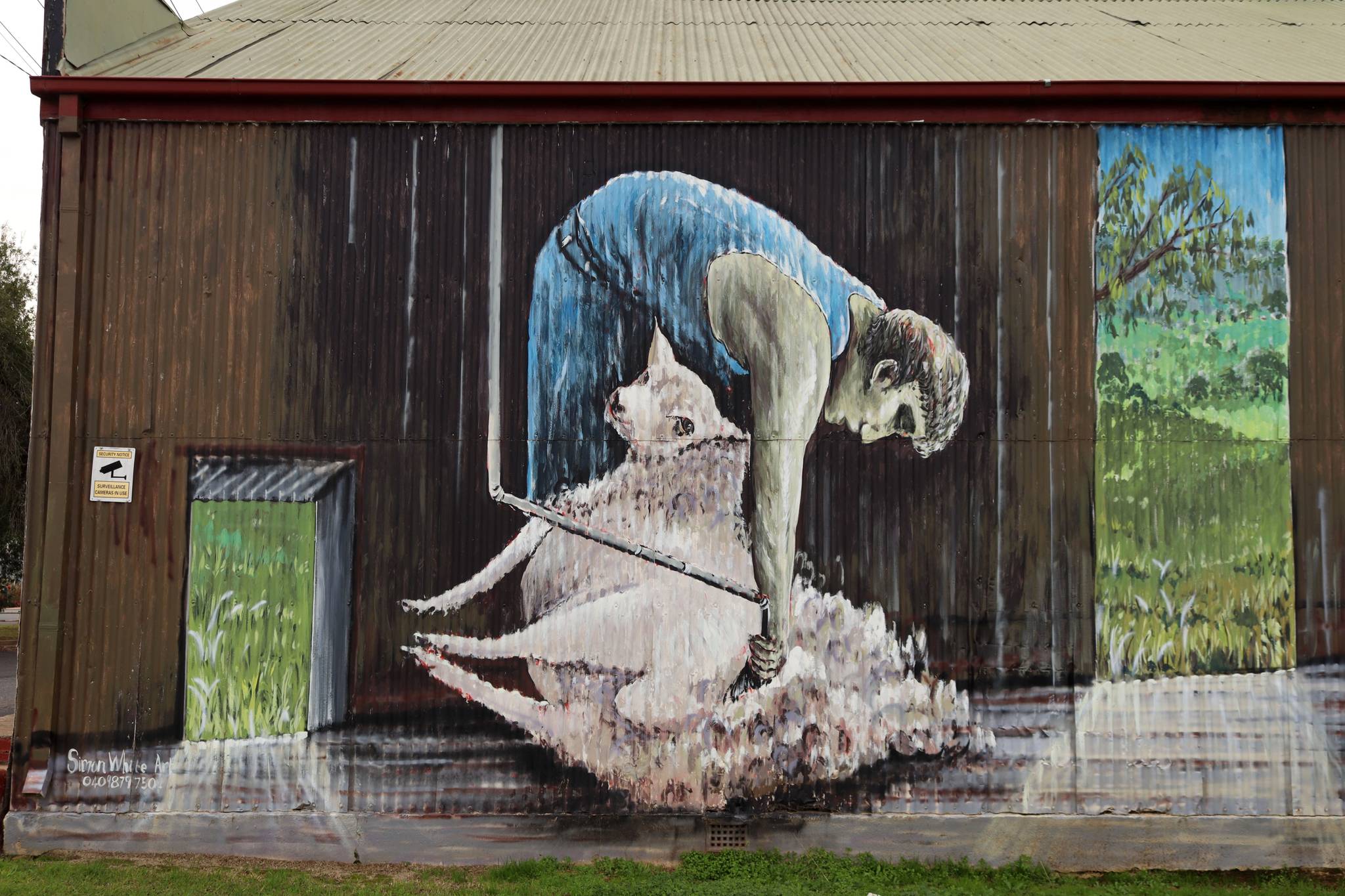 Simon White&mdash;Shearing Mural