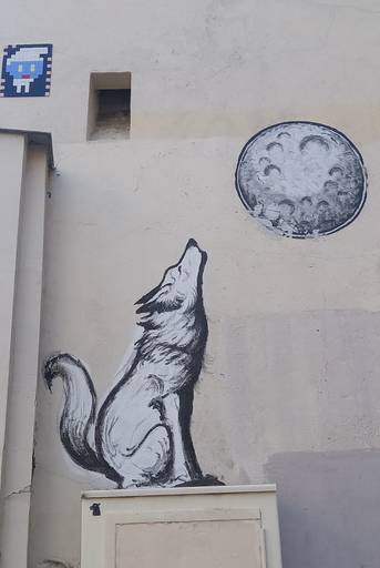 Le loup et la lune