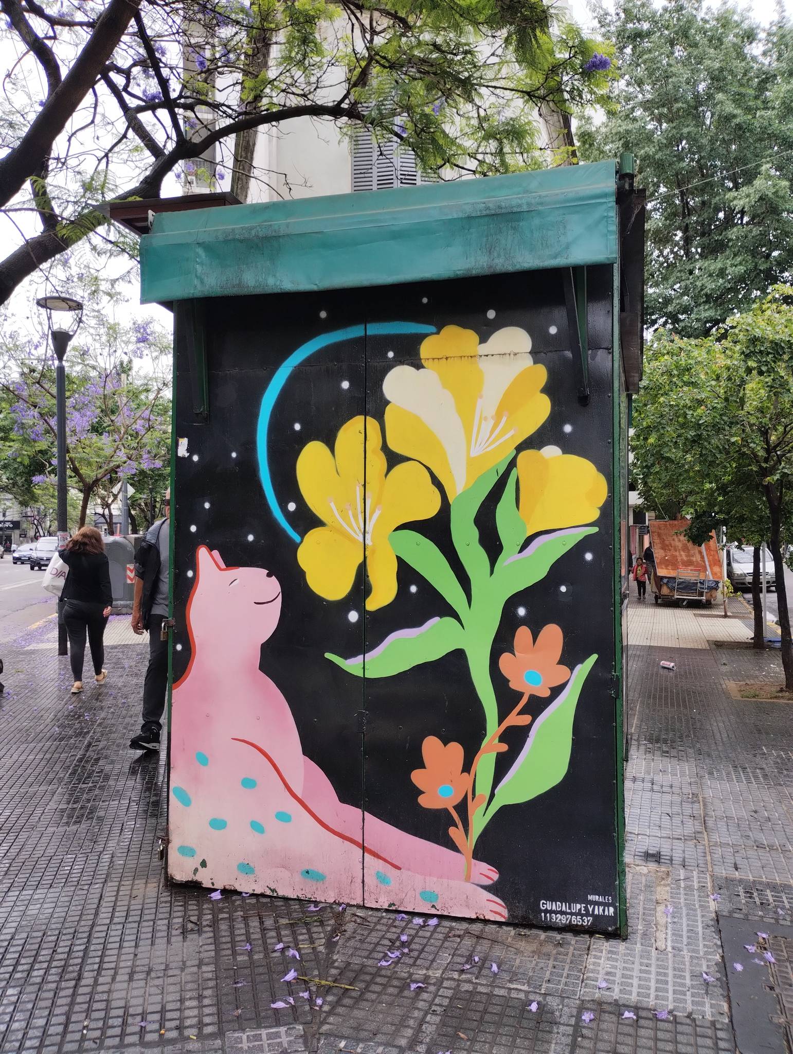 Unknown - Buenos Aires&mdash;Gatito 