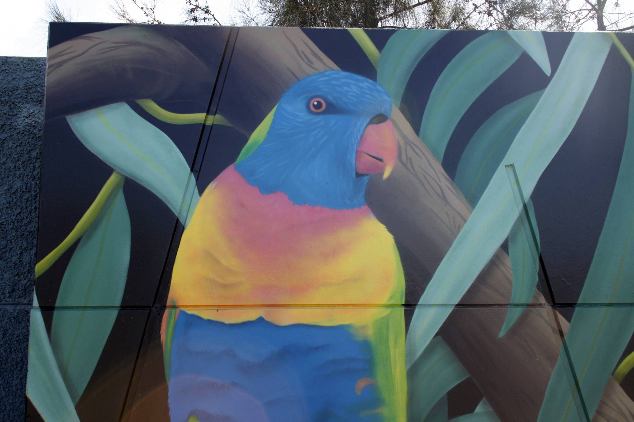 Urban Art Australia&mdash;Wildlife