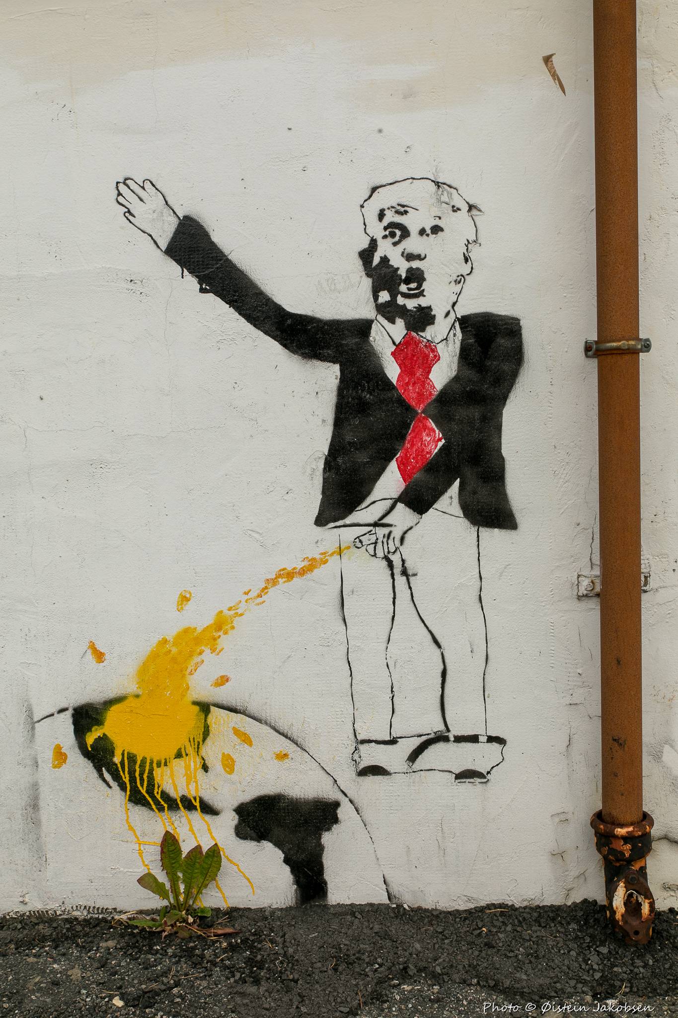 Unknown - Bergen (Norway)&mdash;Trump Dumping