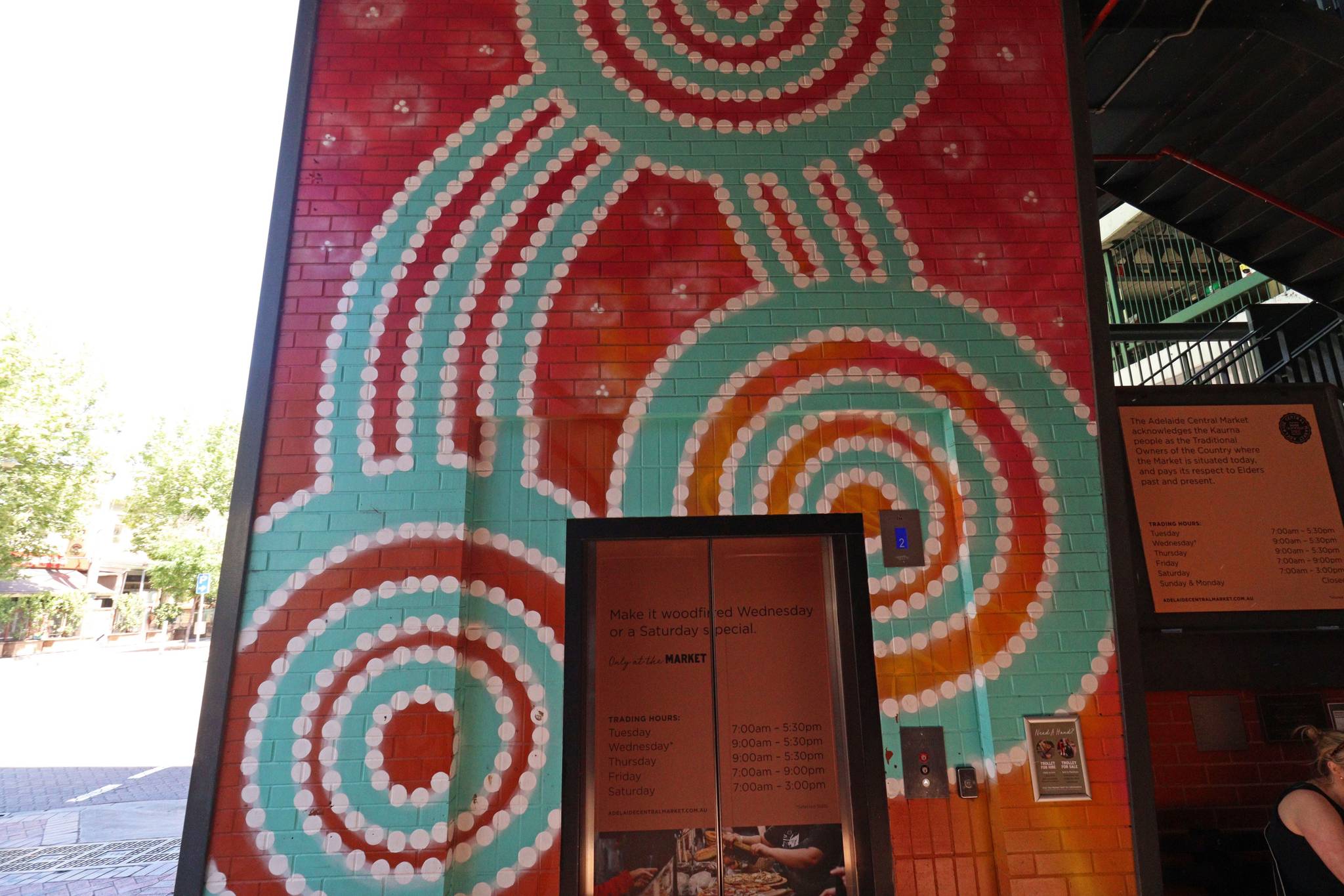 Shane Cook&mdash;Entrance Mural