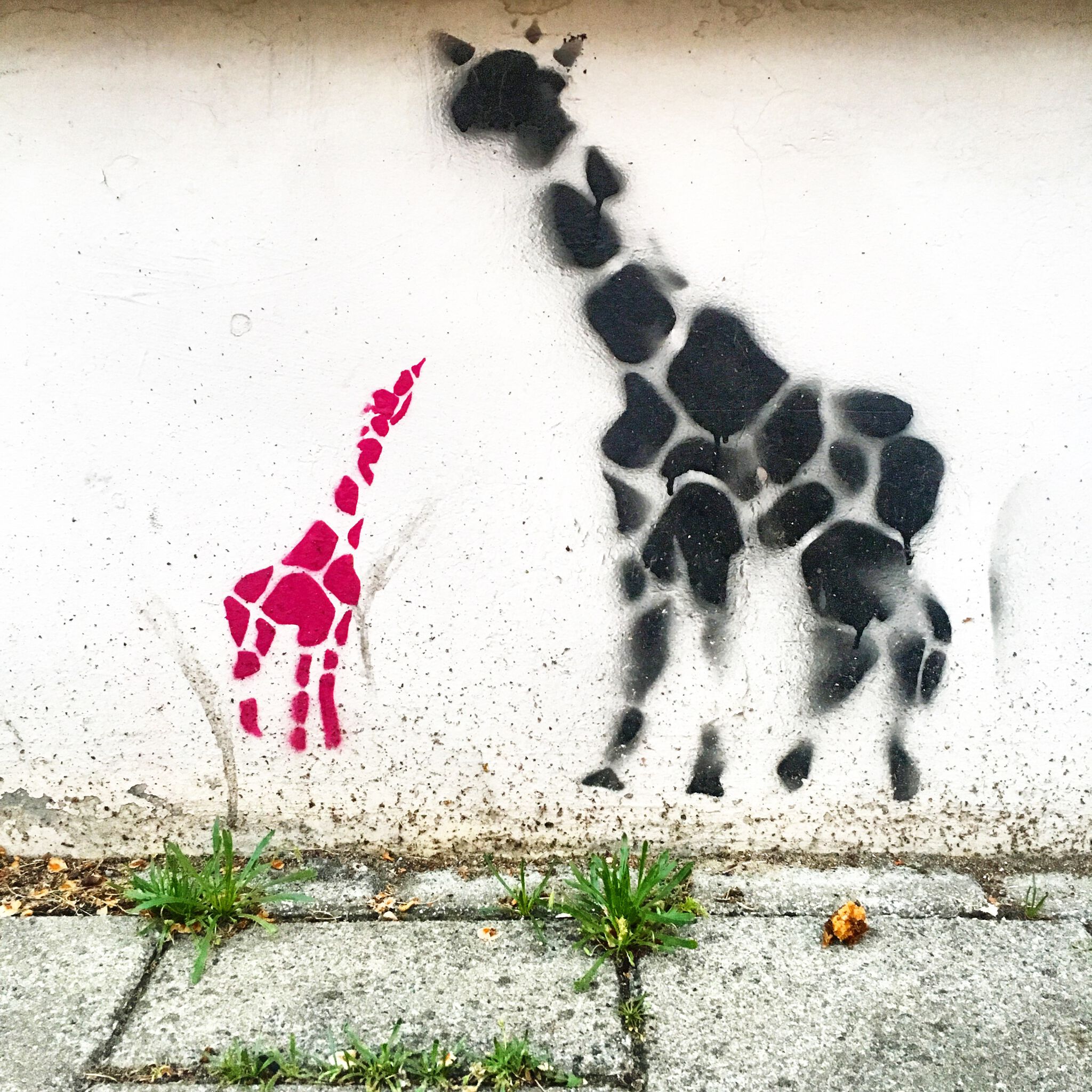 Unknown Artist&mdash;giraffes