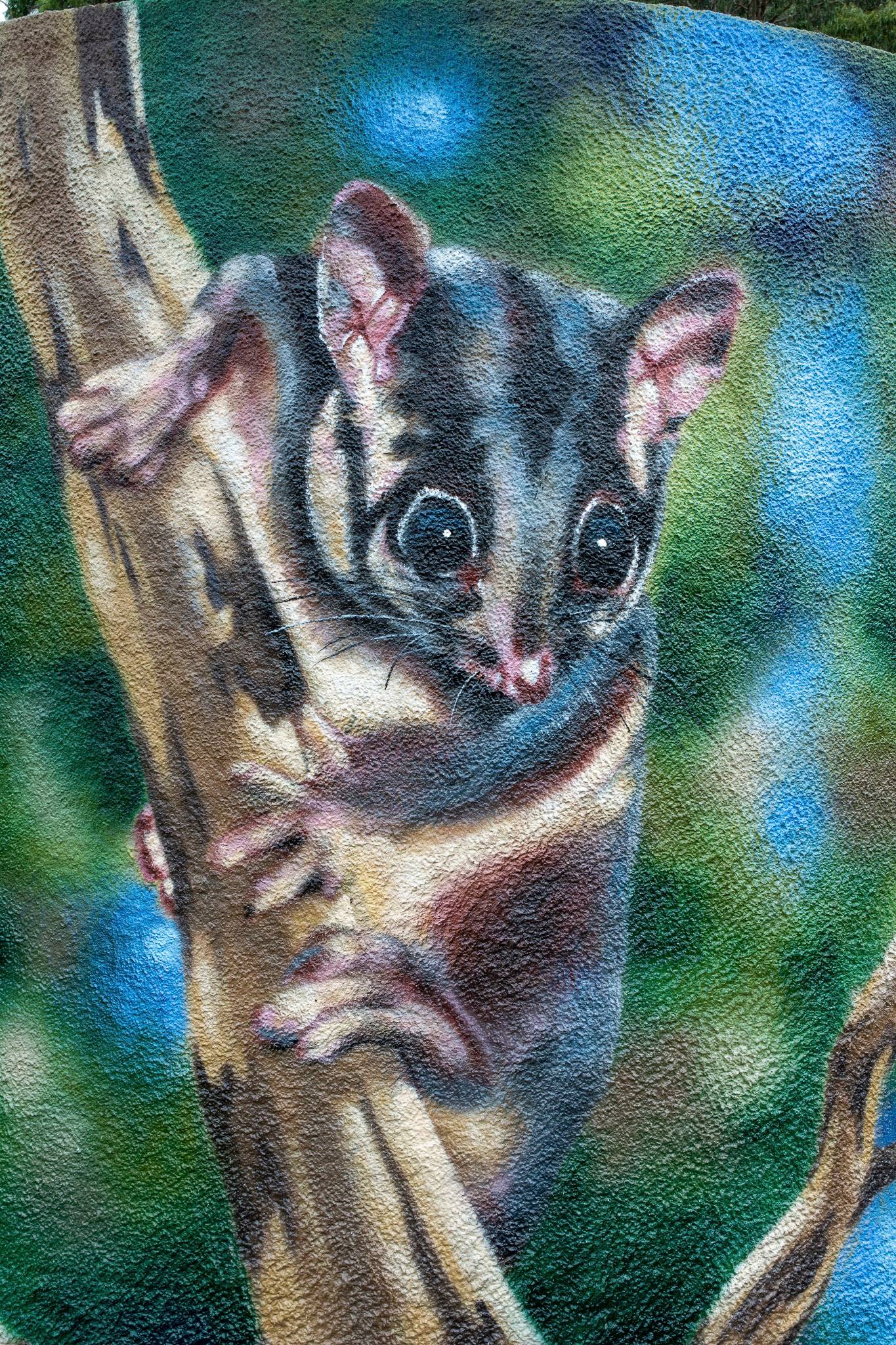 Tim Bowtell, Ruby Parr&mdash; Leadbeater's Possum