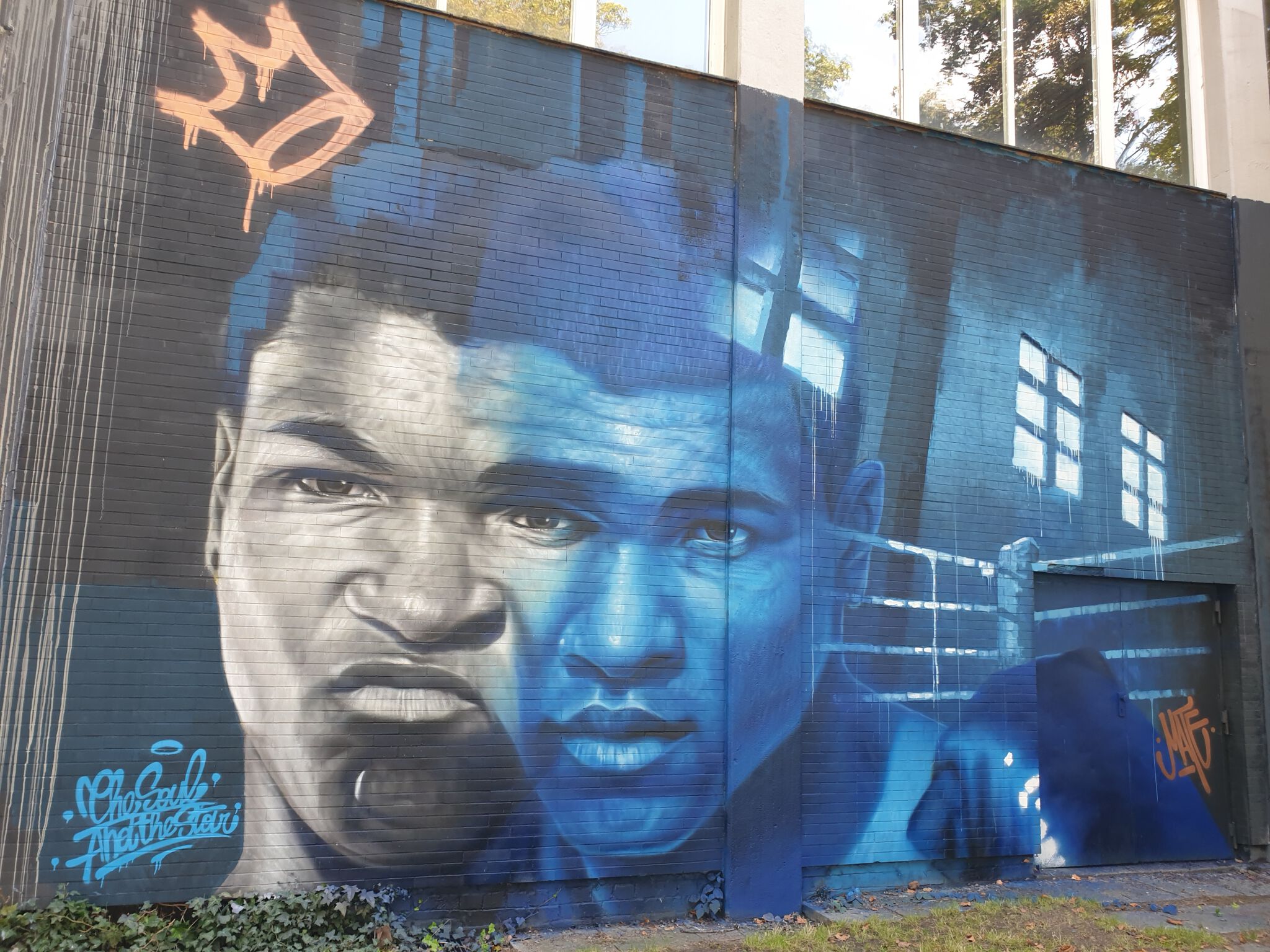 Mate Artist&mdash;Muhammad Ali aka Cassius Clay
