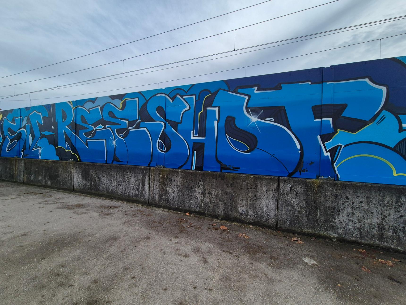 Avid Mouse—SV Reeshof