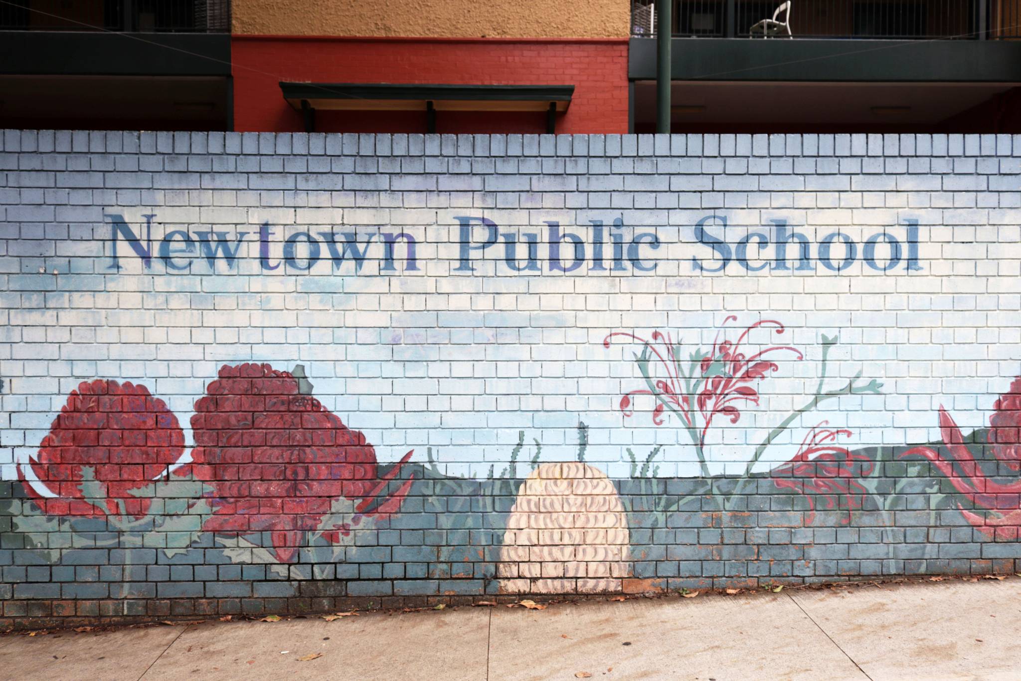 Unknown - Sydney&mdash;Newtown Public School