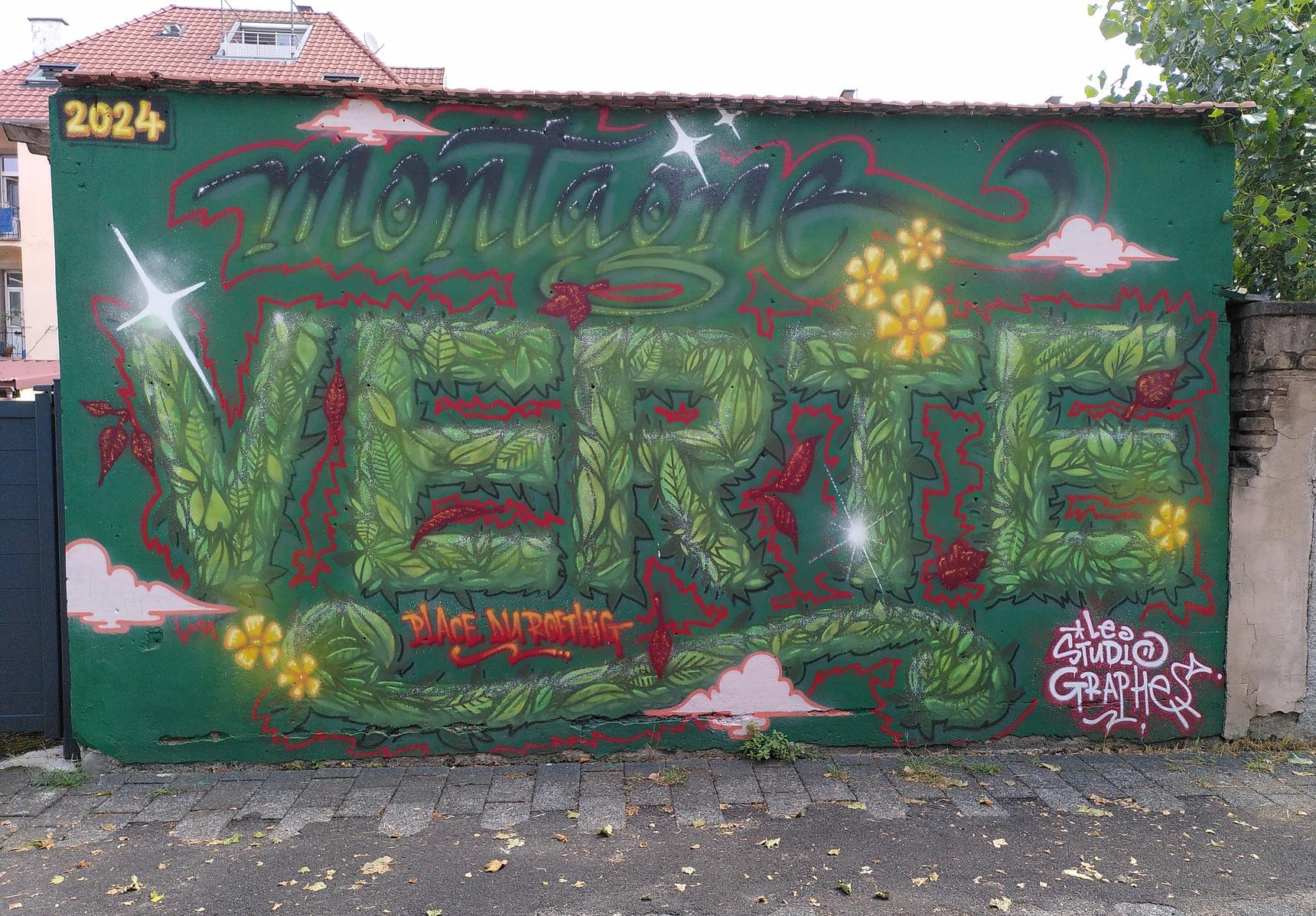 Le studiographe—Montagne Verte