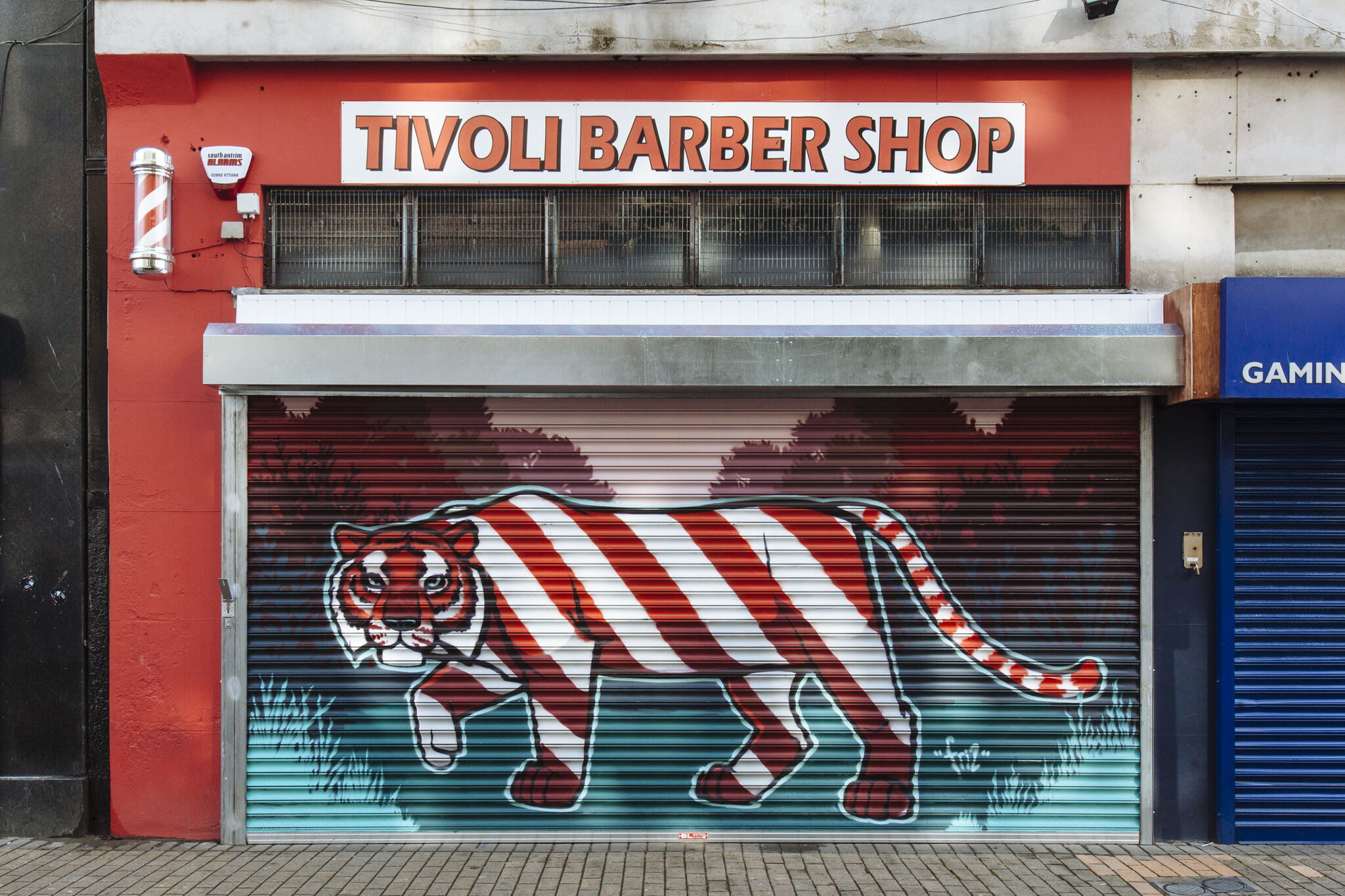 Friz&mdash;Barber Shop Tiger