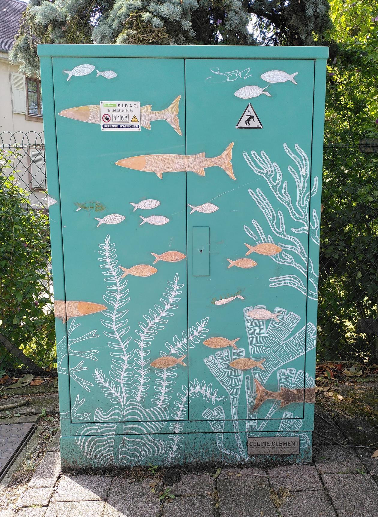 Celine Clement—River fish