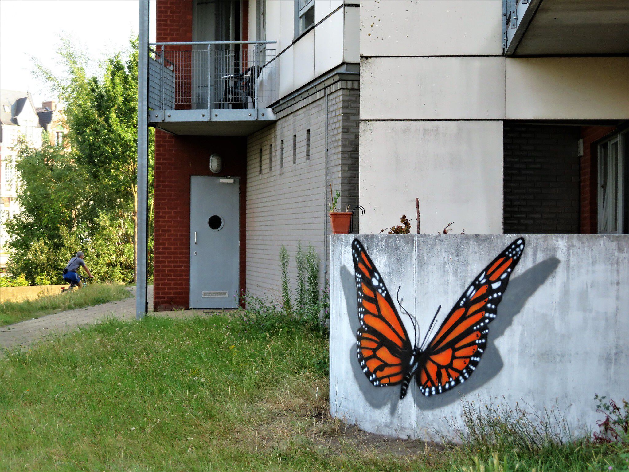 Wallboys&mdash;Voor Wesley