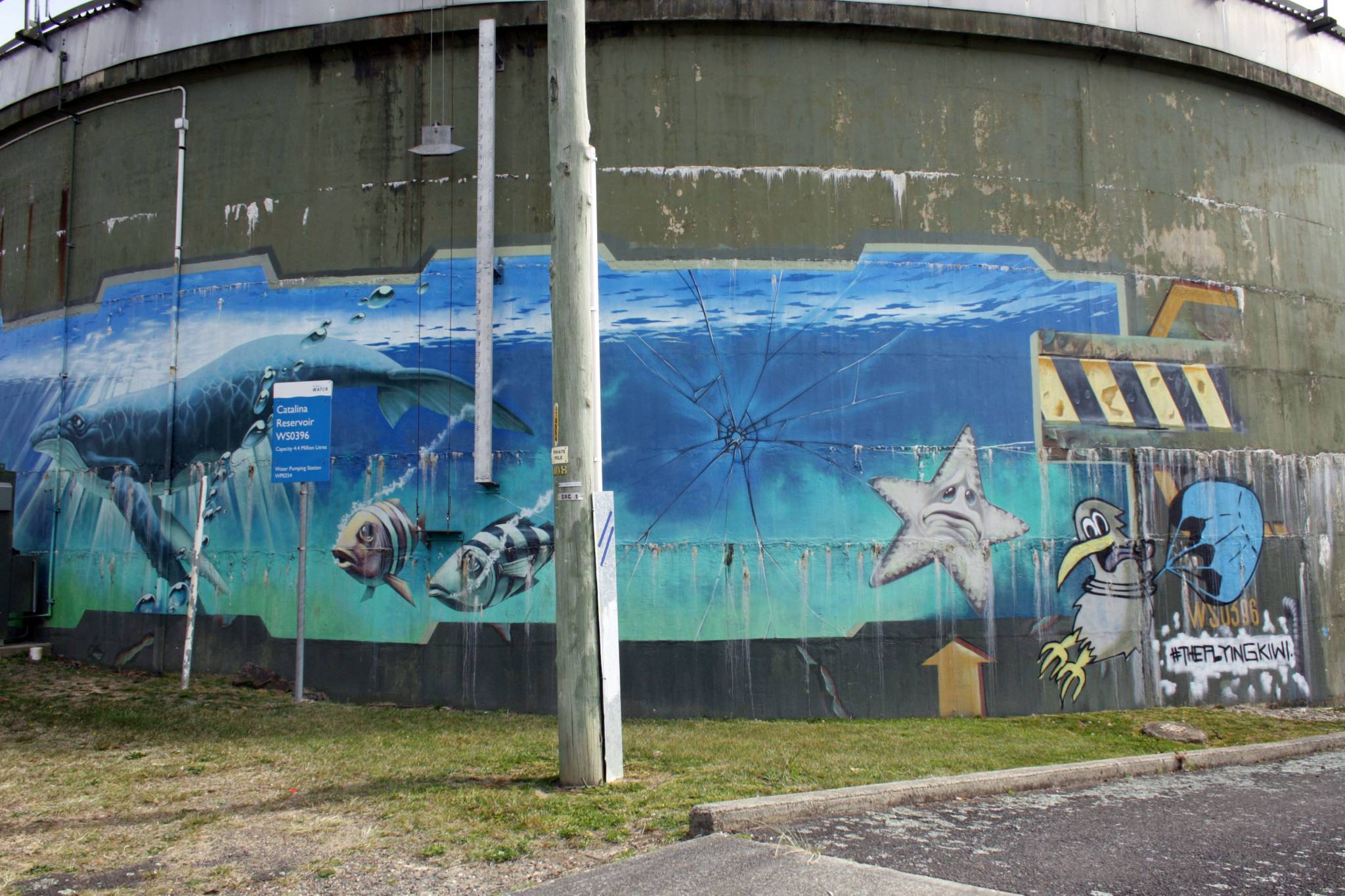 Peque&mdash;Katoomba Water Tank Art