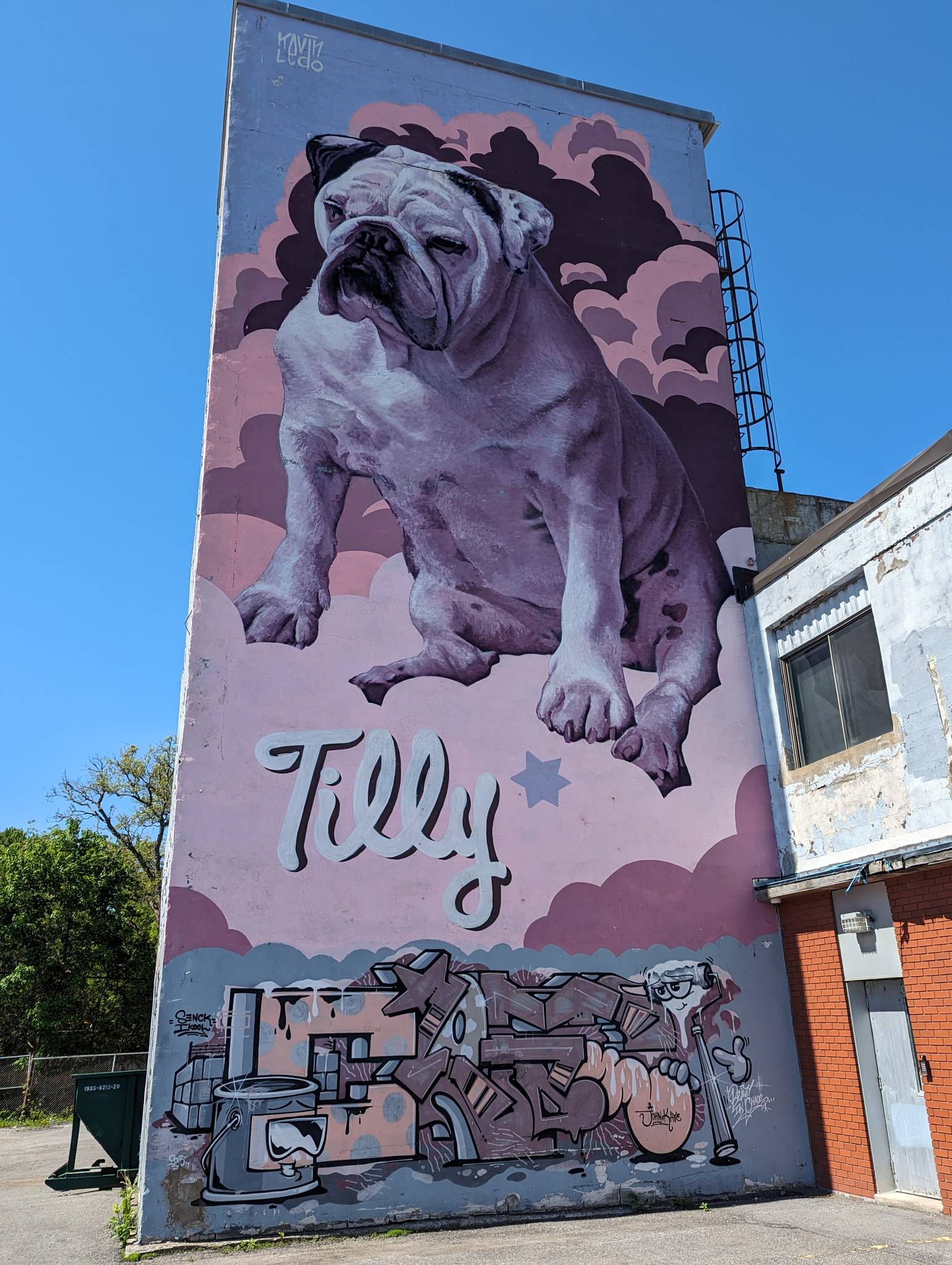 Kevin Ledo&mdash;Tilly Dog