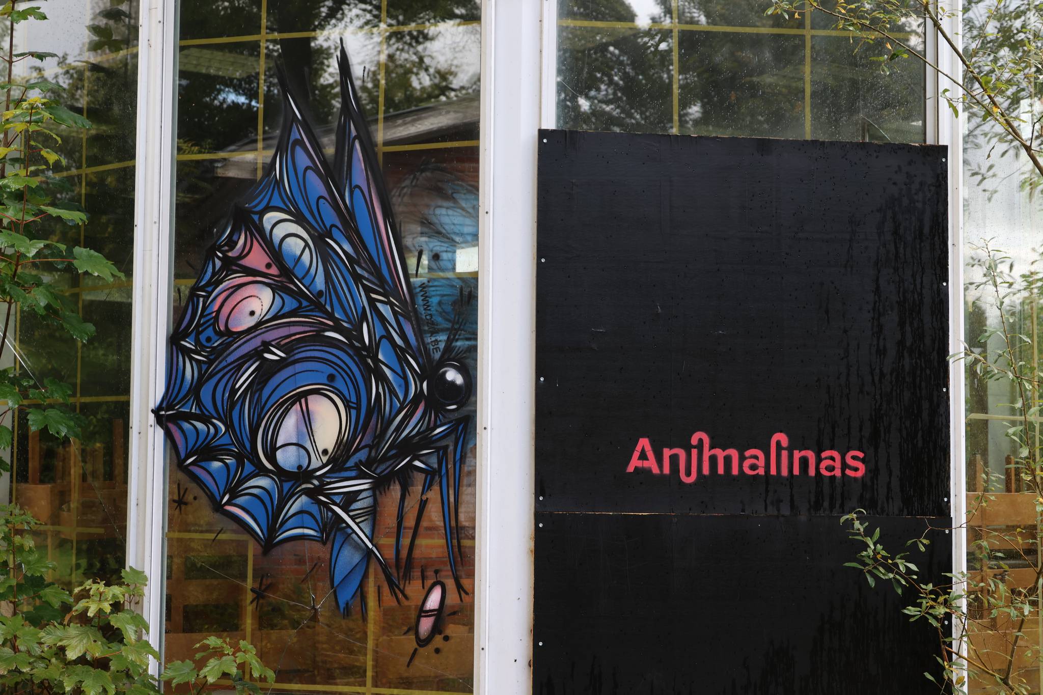 Dzia&mdash;Animalinas #00 - Lieveheersbeestje & Blauwe vlinder