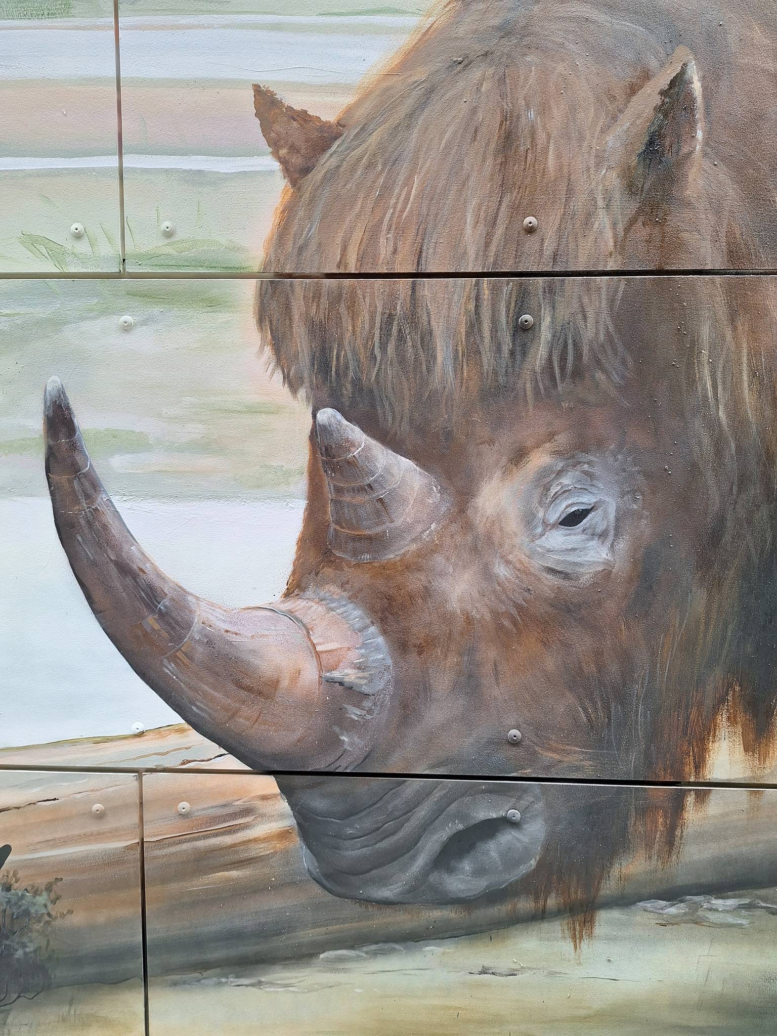 Nicolas Keppens&mdash;Wolharige neushoorn / Woolly rhinoceros