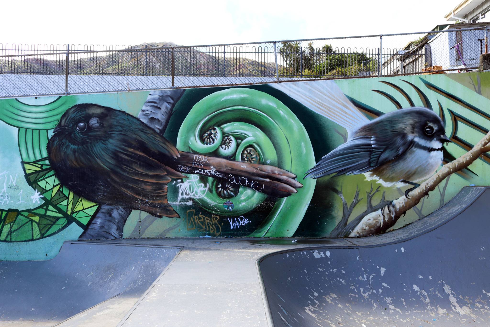 Dcypher, Wongi 'Freak' Wilson, Ikarus, Jacob Yikes&mdash;Lyttelton Skate Park