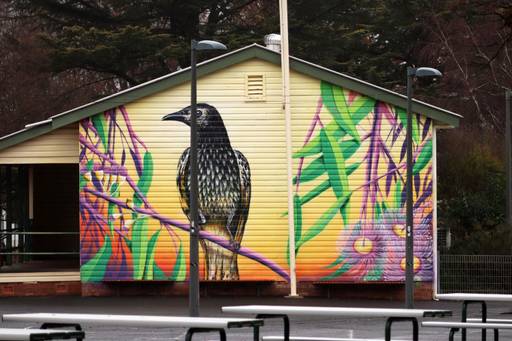 Regent Honeyeater