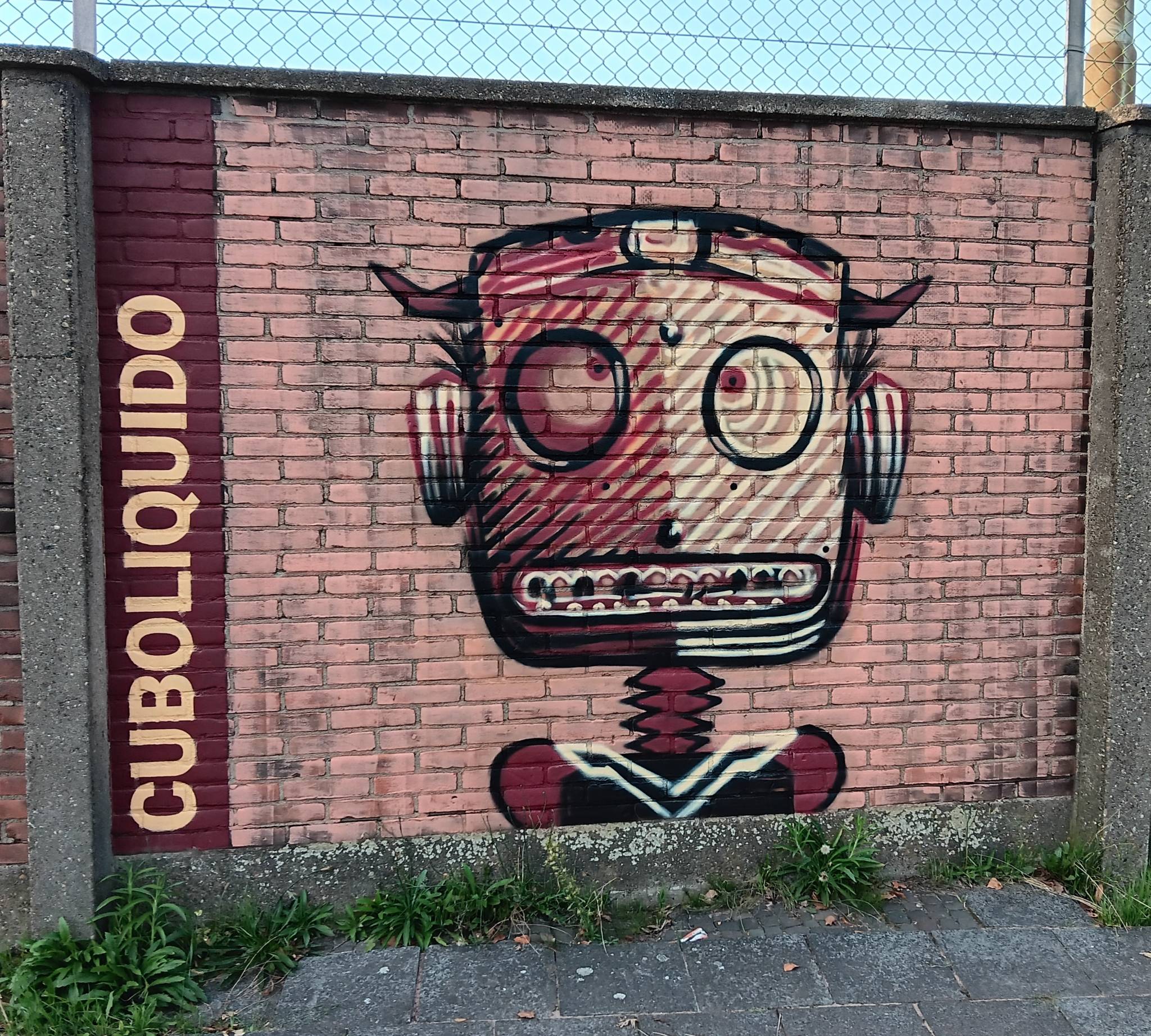 Cuboliquido&mdash;Confused Robot