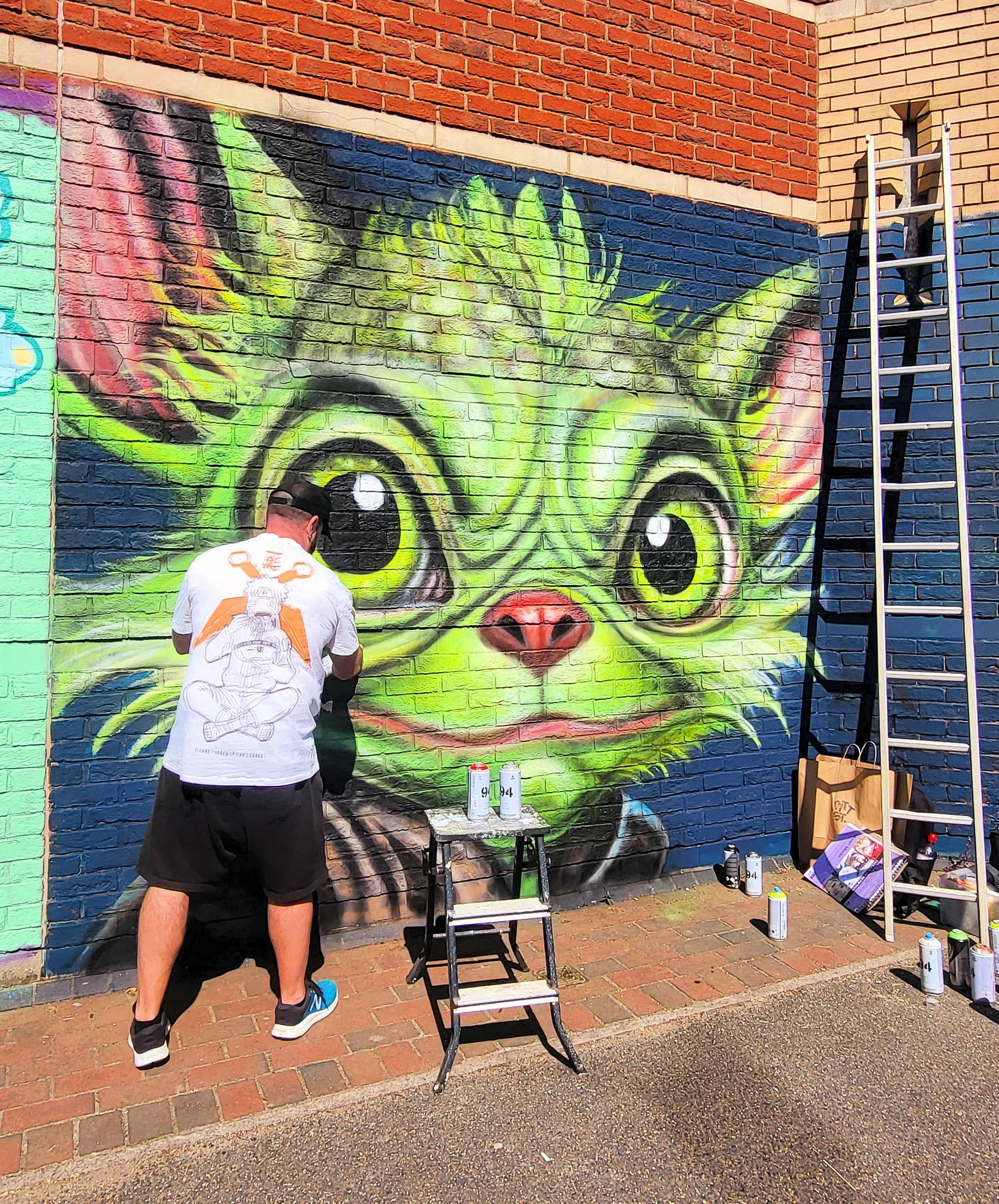 Perspicere, i-Spy, farkFK, Mr. Cenz, Midge, Mister Samo, Various Artists, Skyhigh, RoosArt, Roo Abrook, Pogo Stencils, Claudia La Bianca&mdash;Pitt Street X Petita Coffee Paint Jam