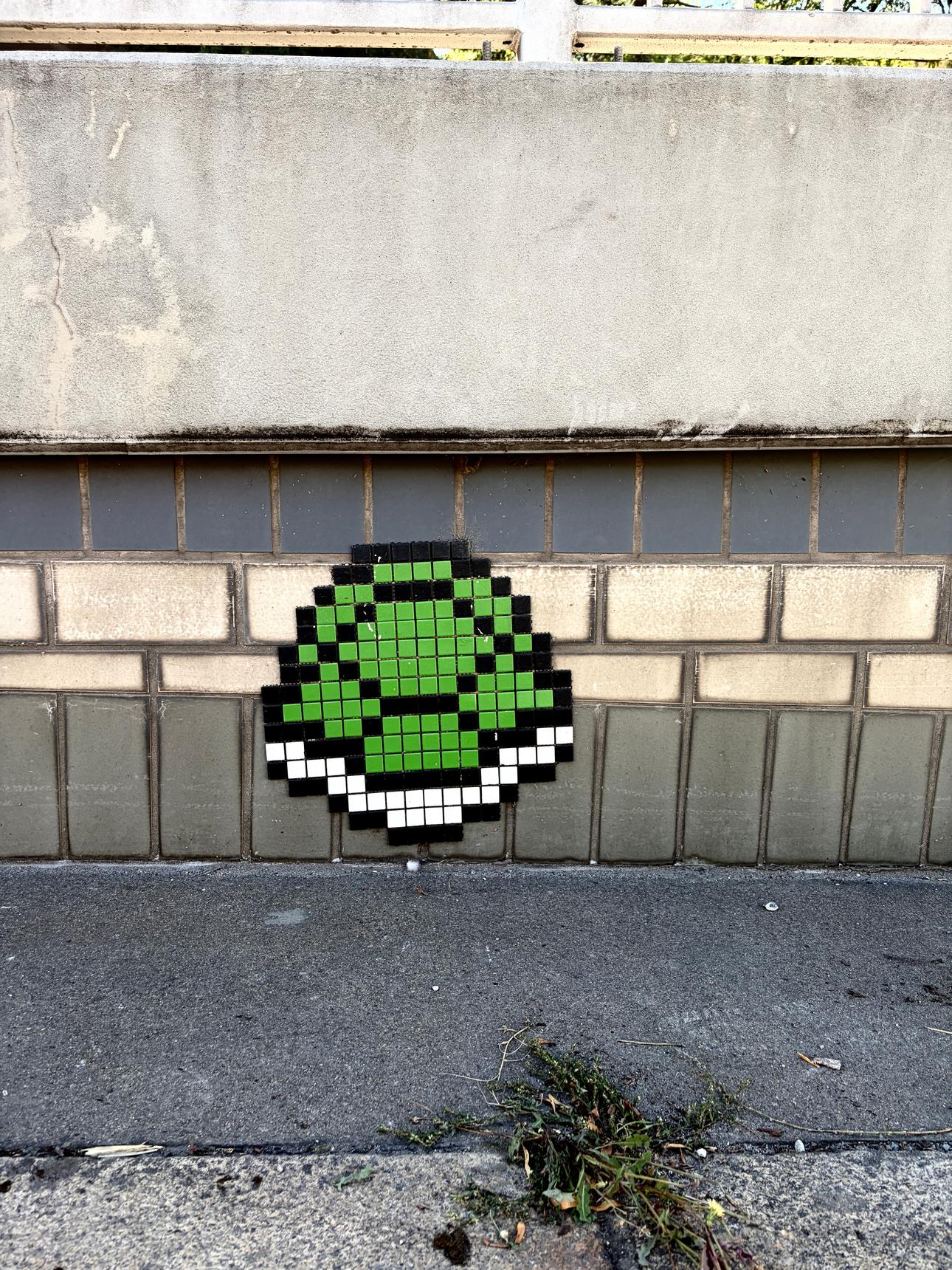 Unknown - Ludwigshafen—Grüner Panzer (Koopa Shell)