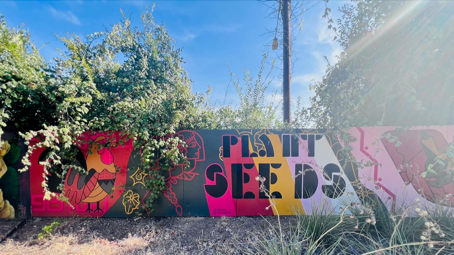 Chroma Collective—Plant Seeds
