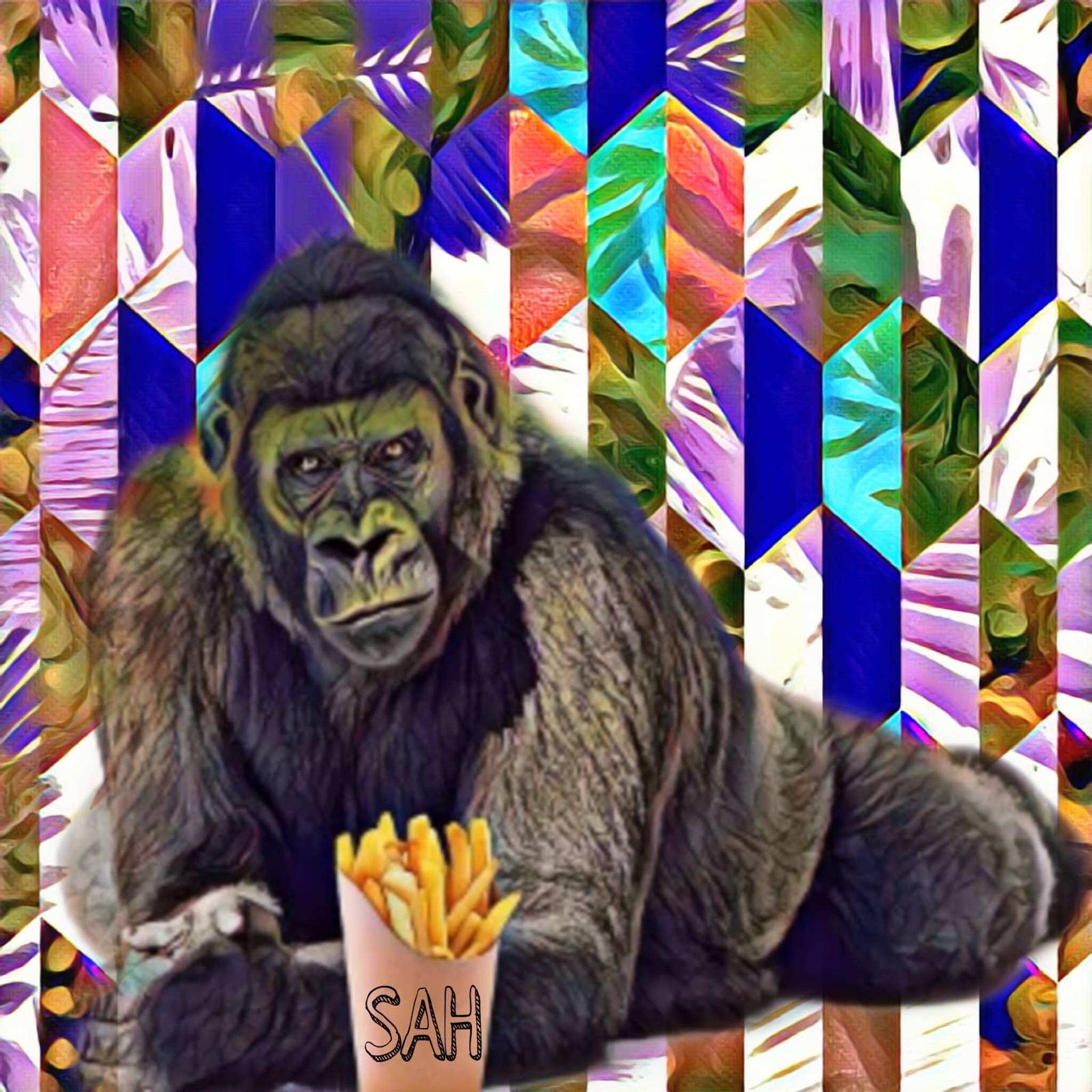 SAH&mdash;The Animal Series 