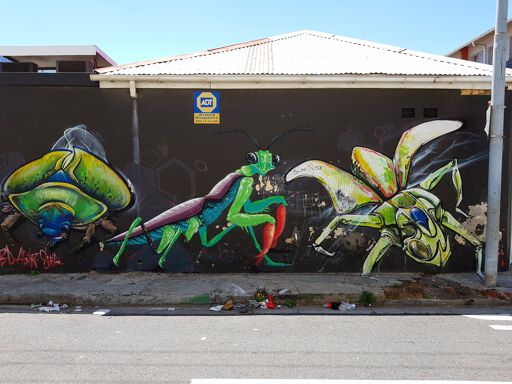 The Insects