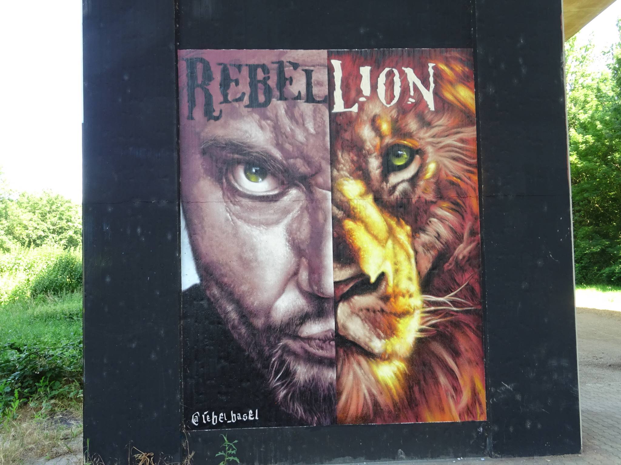 Rebel Basel&mdash;Rebel-Lion