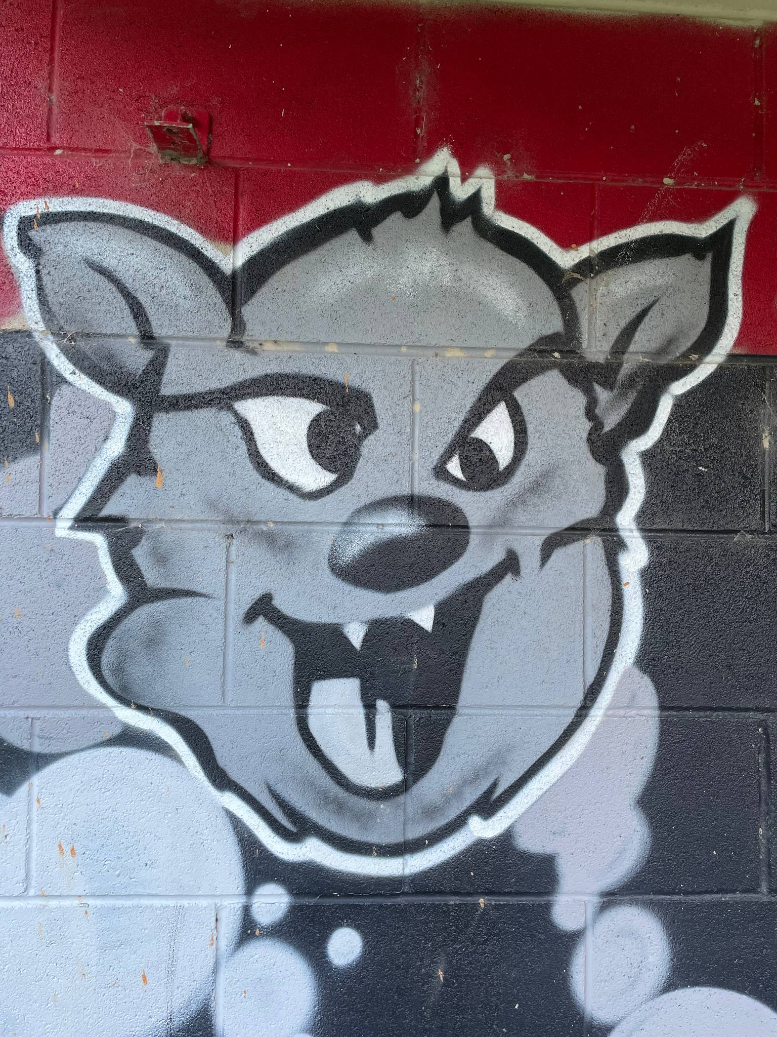 Unknown - Canberra&mdash;Ainslie Bears Mascot