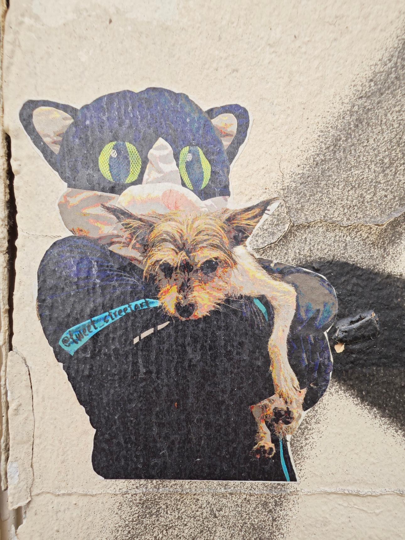 Tweet—Cat in Paris