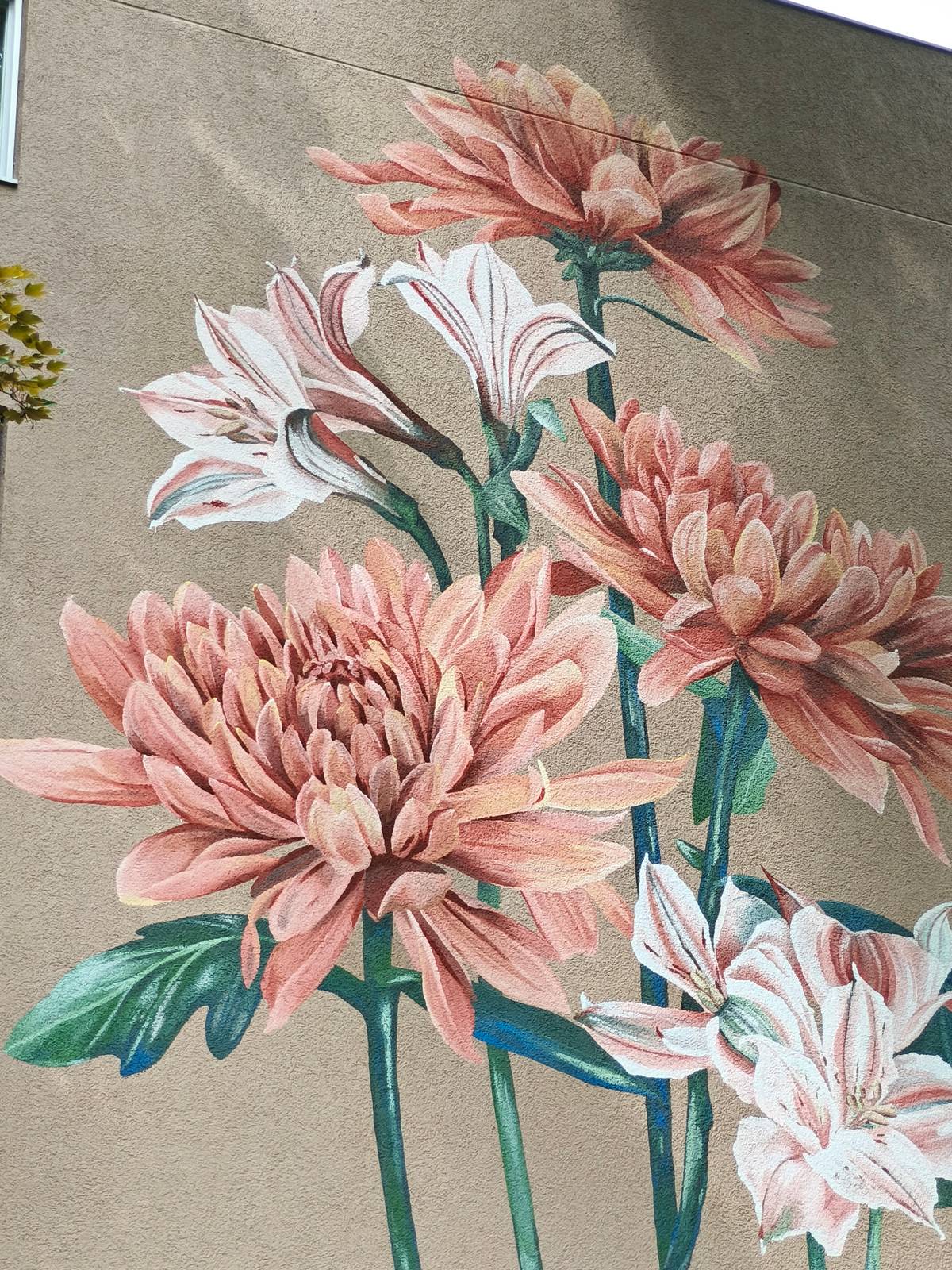Korallpionen—Flower Mural