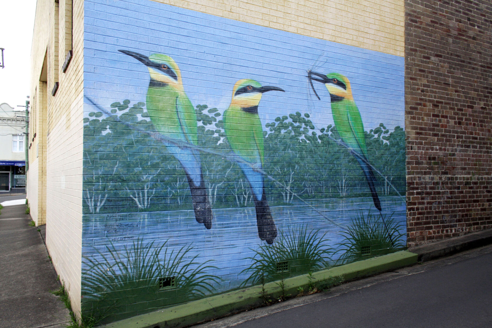 Robin Martin&mdash;Rainbow Bee-eater