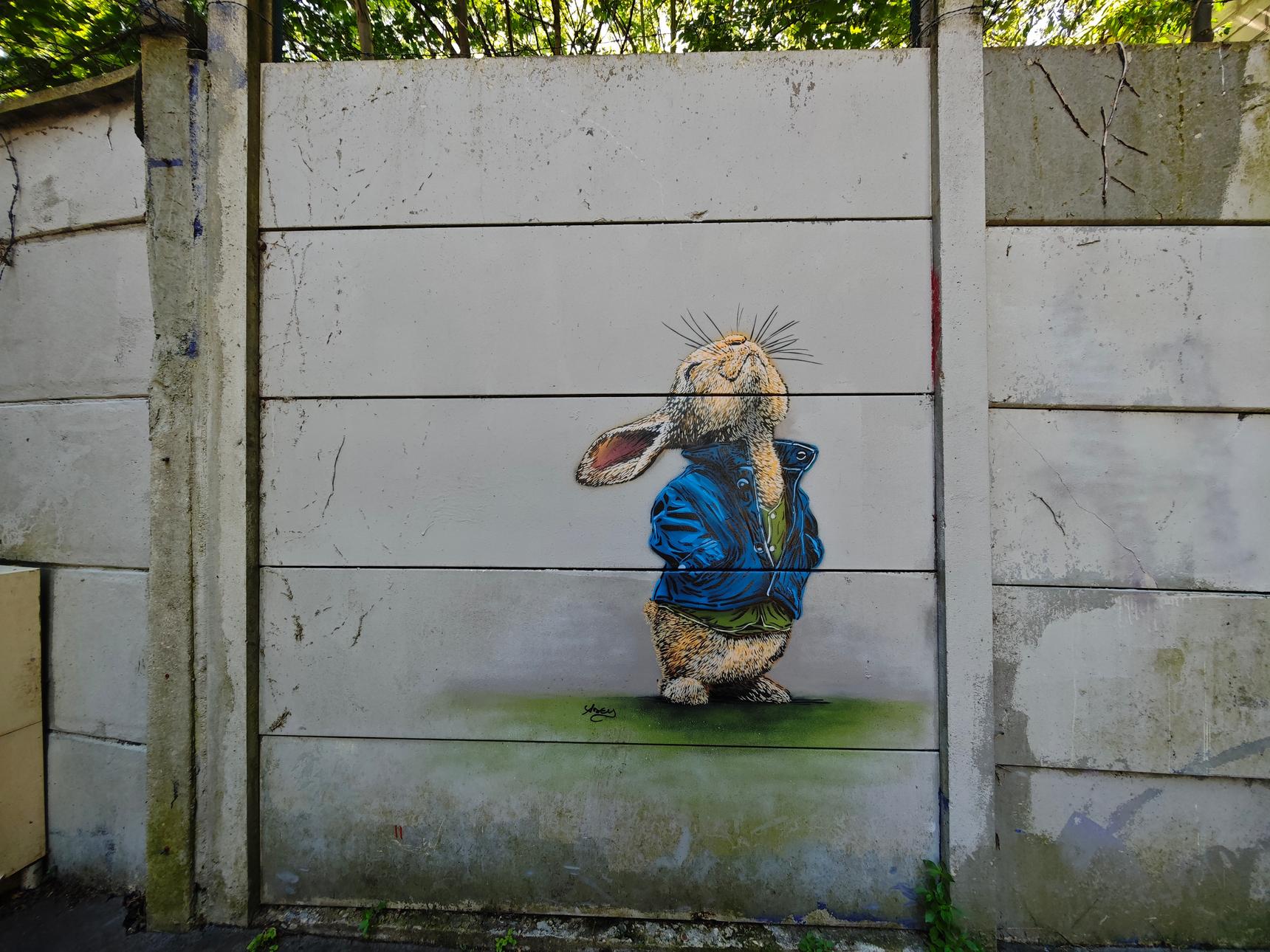 Adey—Rabbit