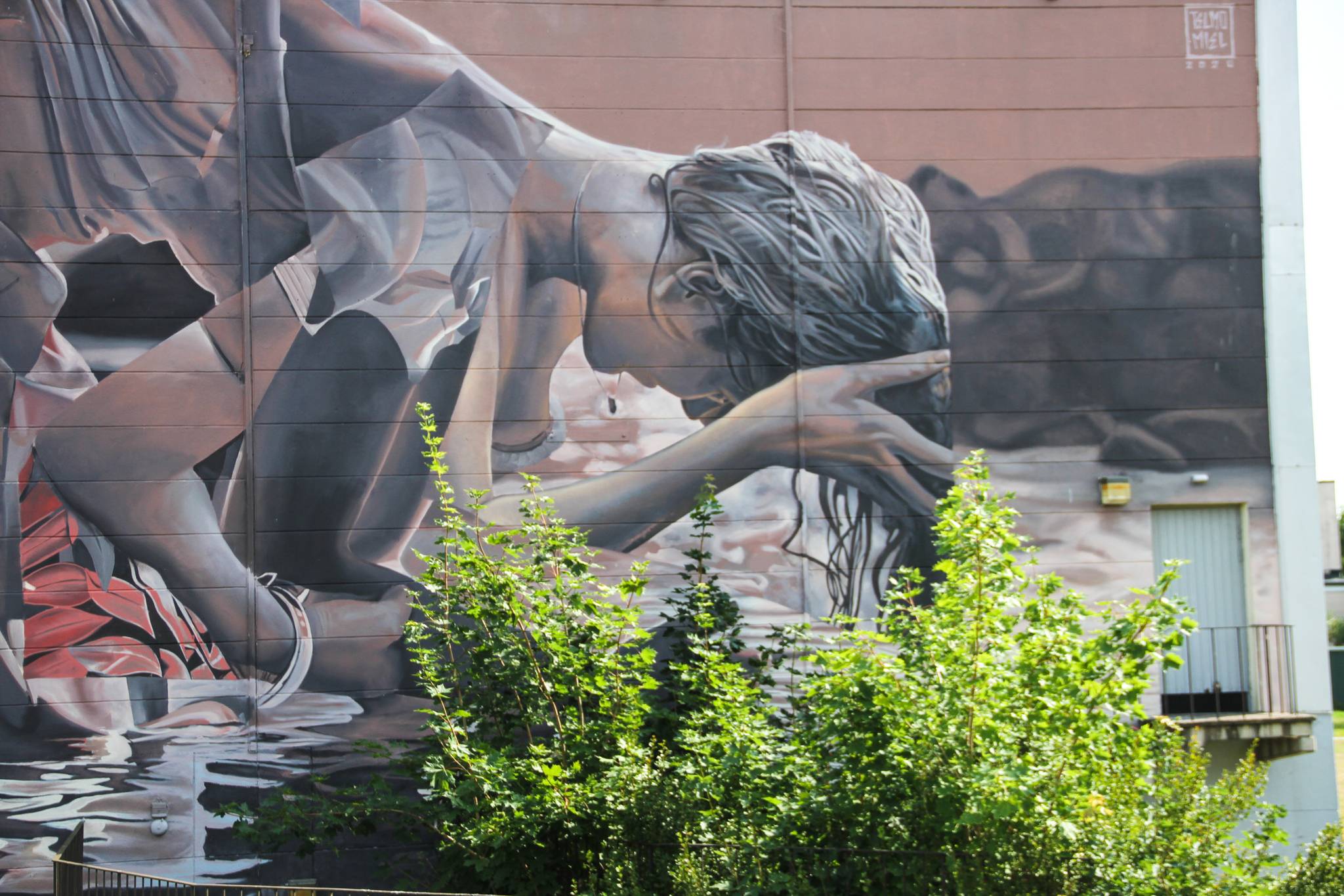 Telmo Miel&mdash;The Lake