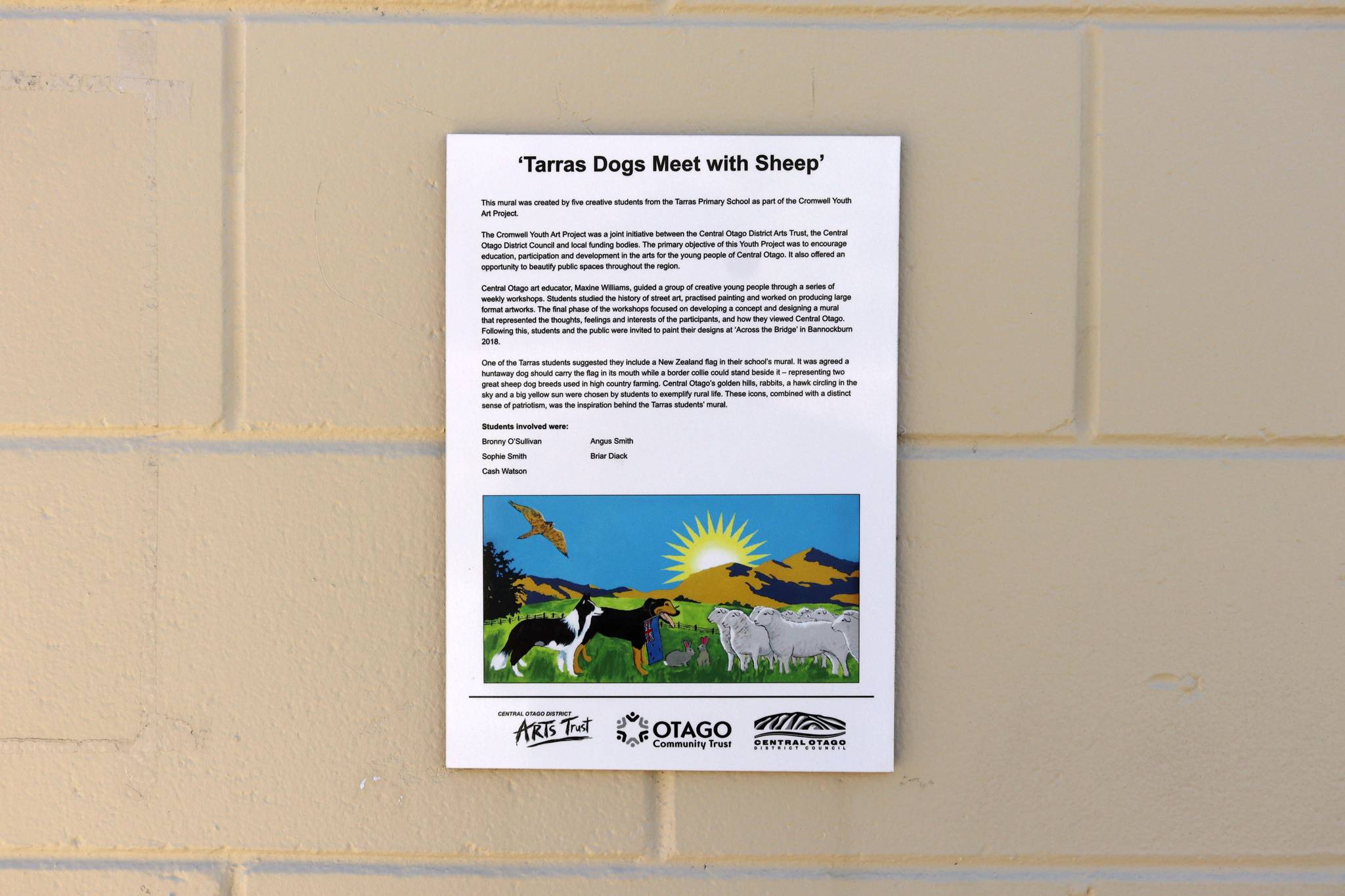 Tarras School&mdash;Tarras Dogs Meet with Sheep