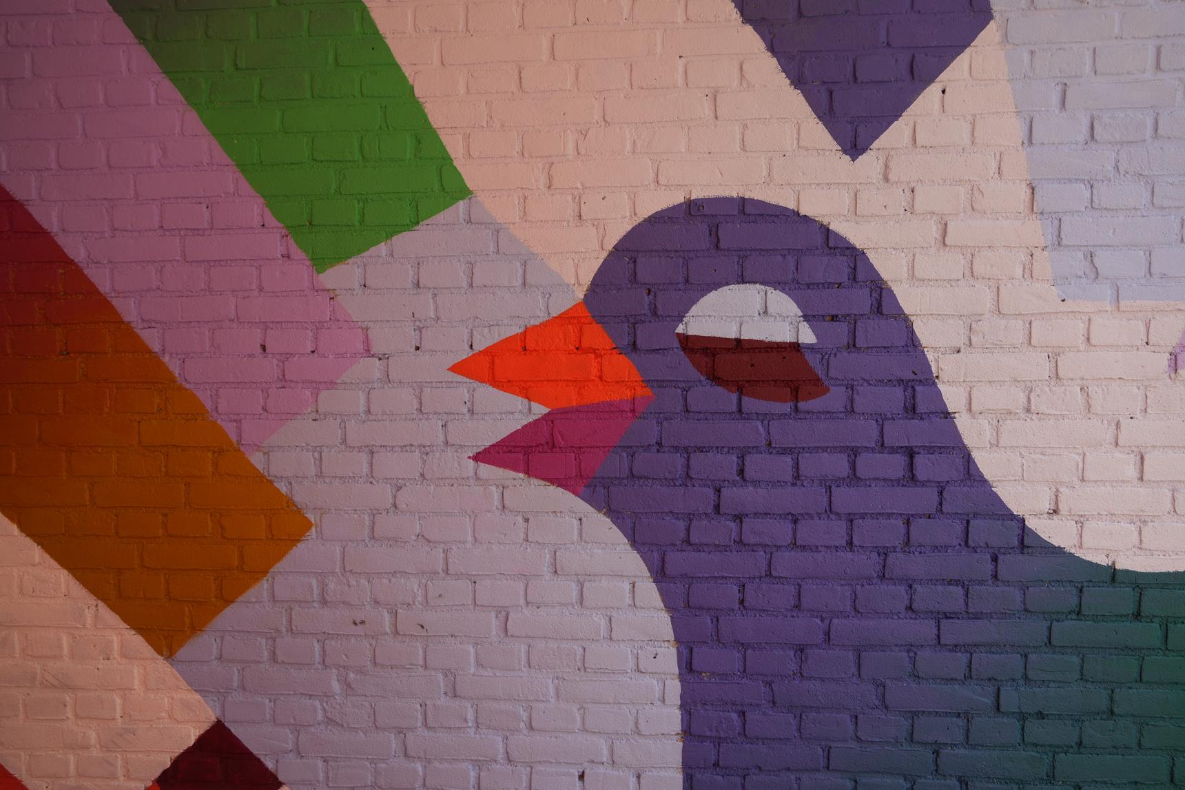 Eveline Schram—Pigeons’ Mating Dance