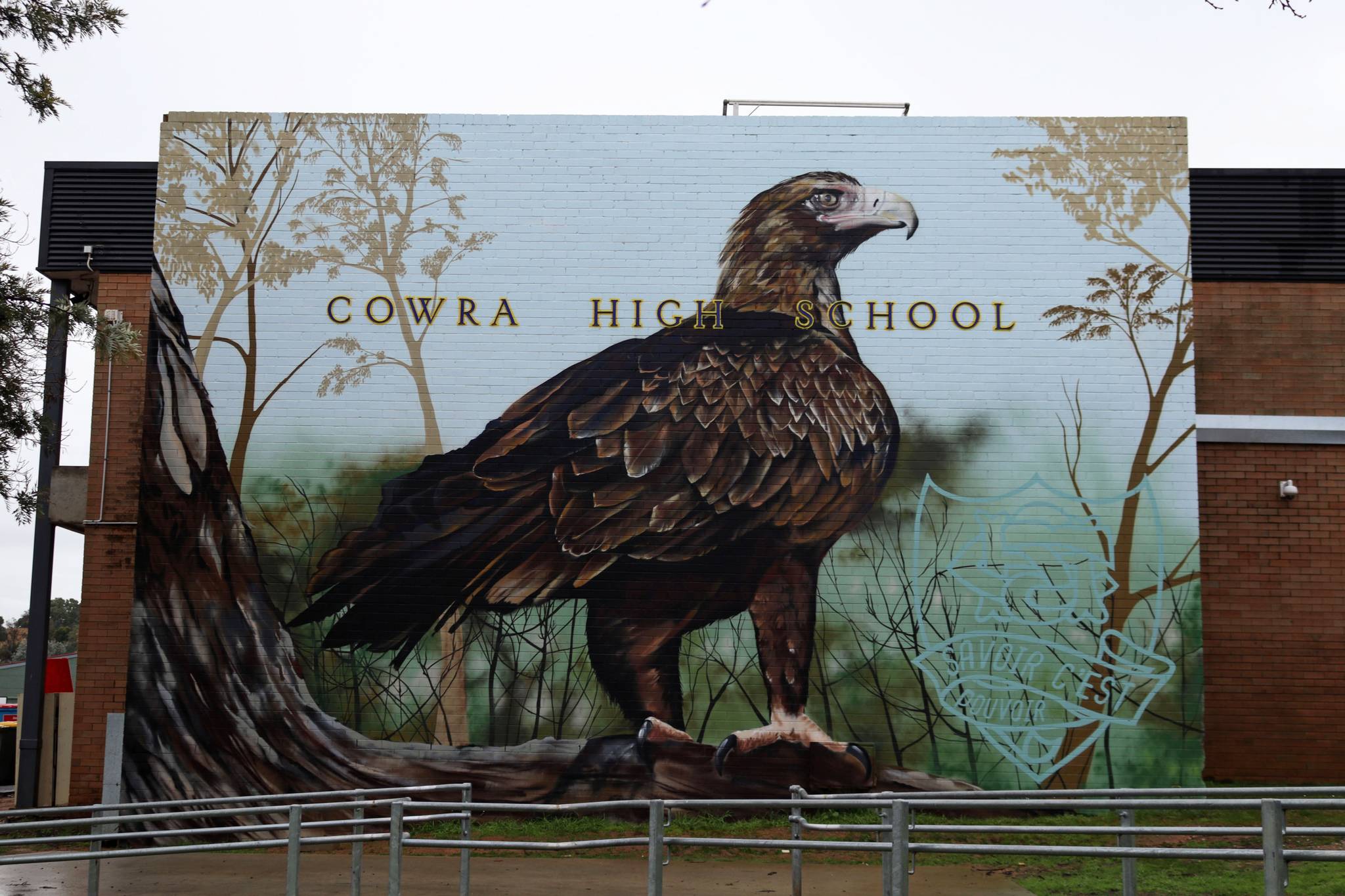 Drapl&mdash;Wedge-tailed Eagle