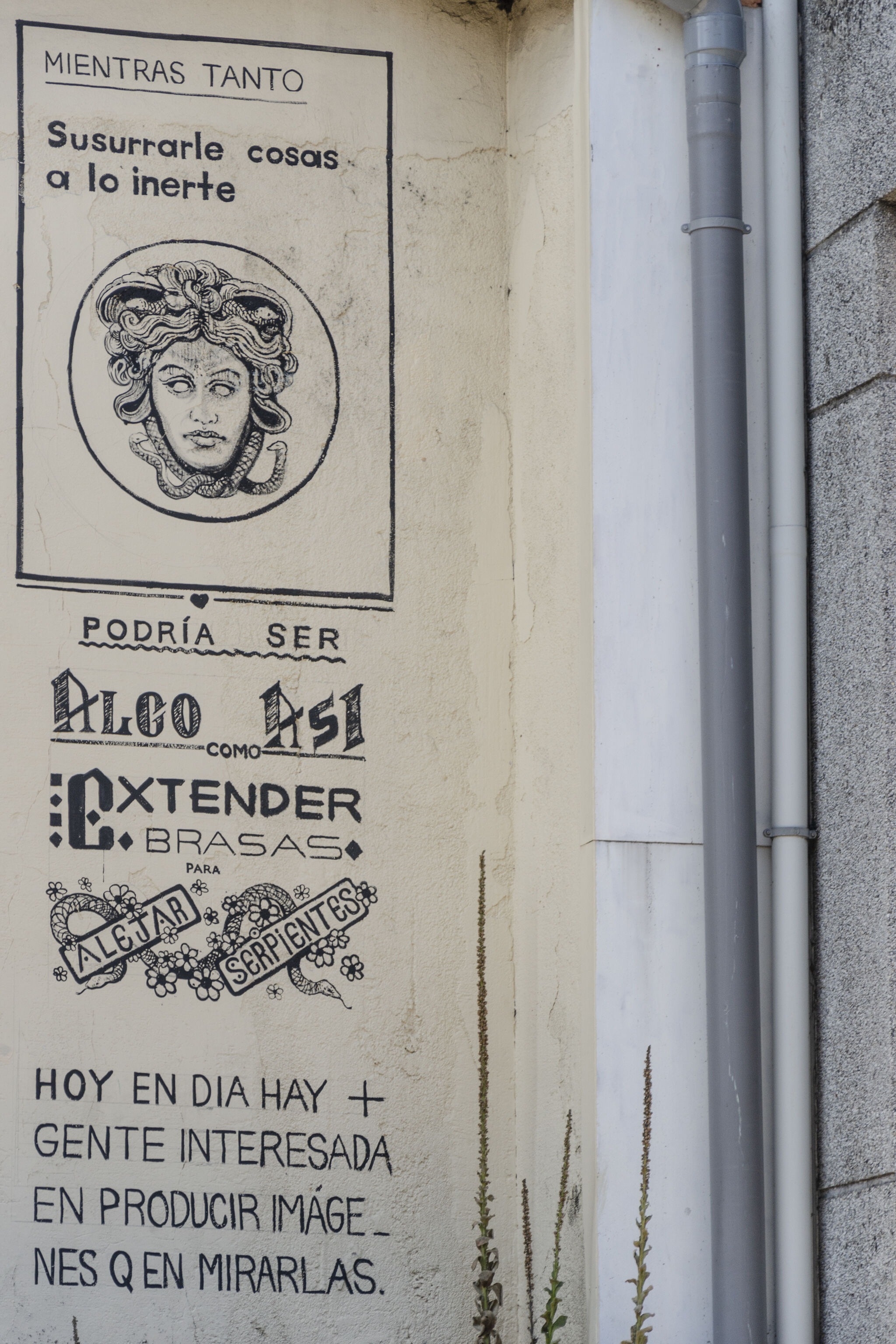 DANIEL MUÑOZ "SAN"&mdash;Wall by DANIEL MUÑOZ "SAN" for DESORDES CREATIVAS 2019 (Ordes, Galicia-Spain)