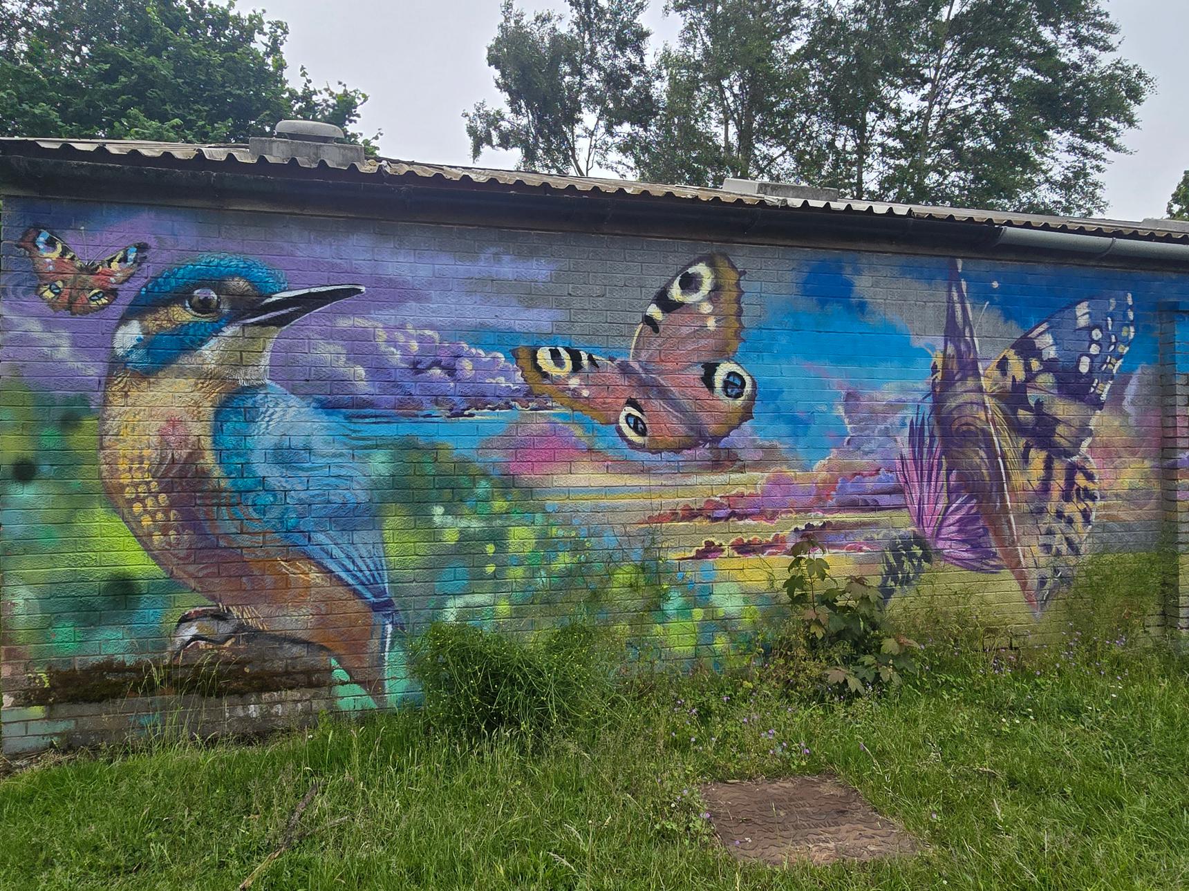 N4T4—Morgan Hehir Wall