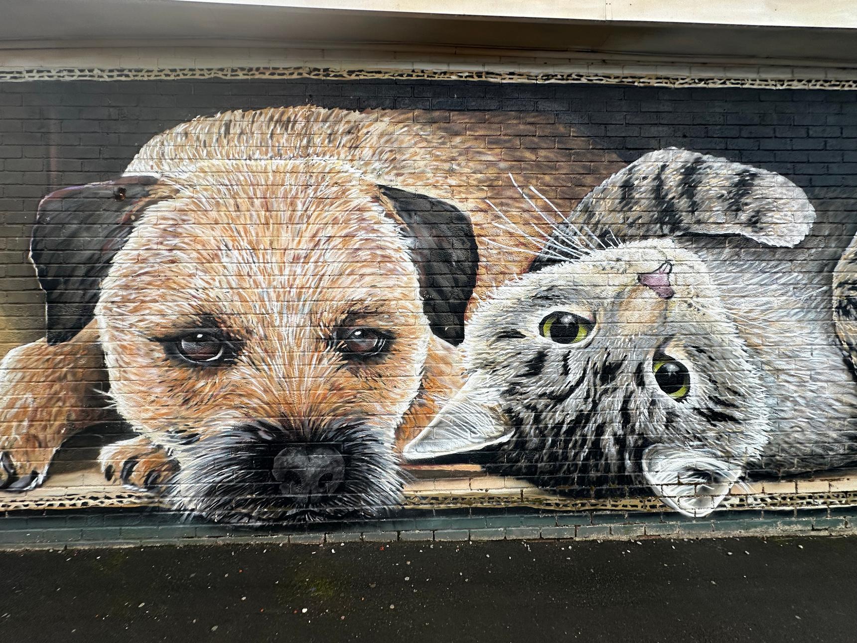 Rogueoner—Cat & Dog In Box