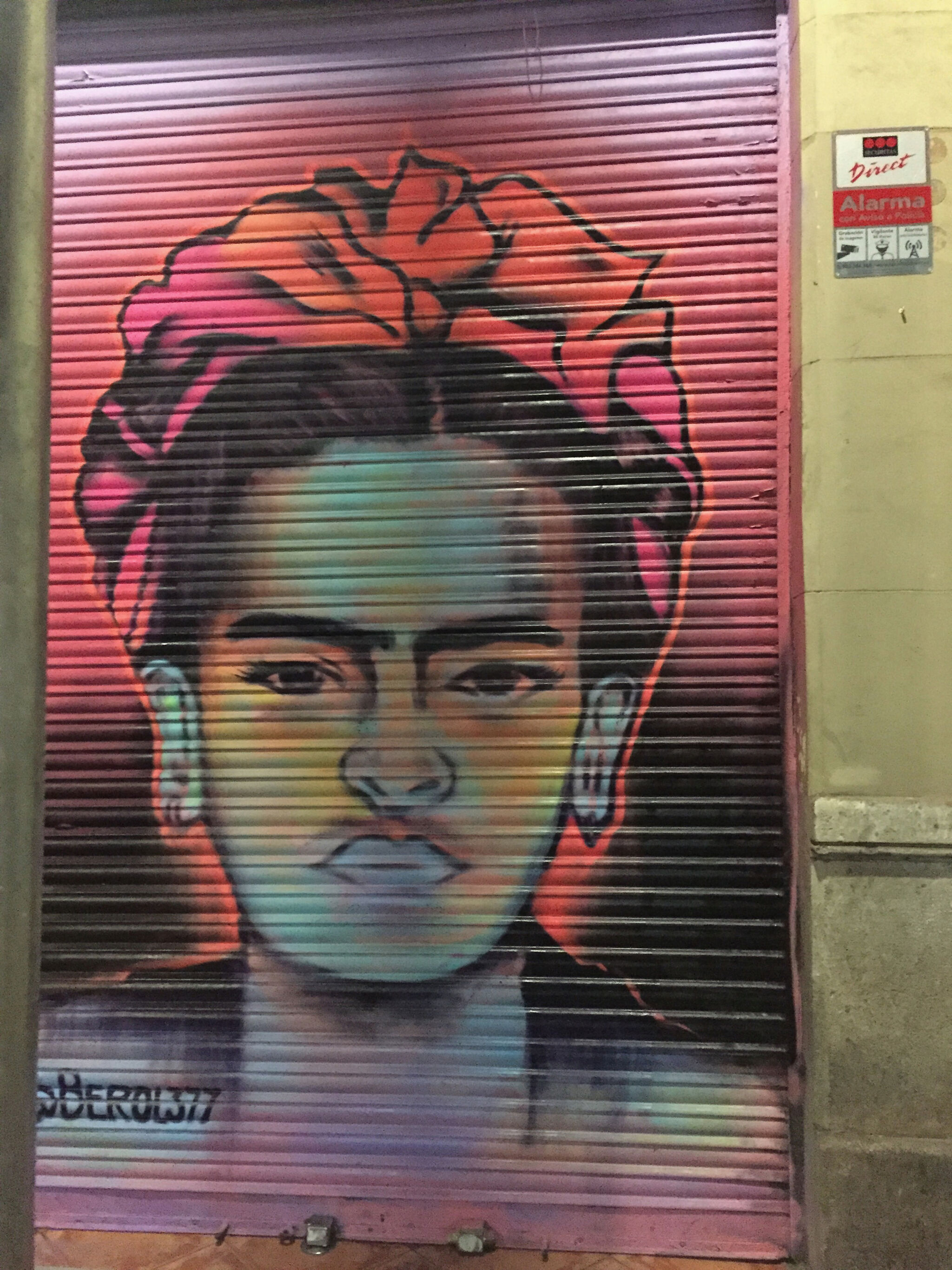 Berol377&mdash;Frida Kahlo