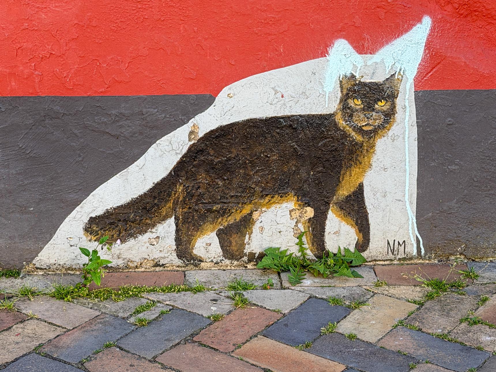 N.M.—Auf der Pirsch