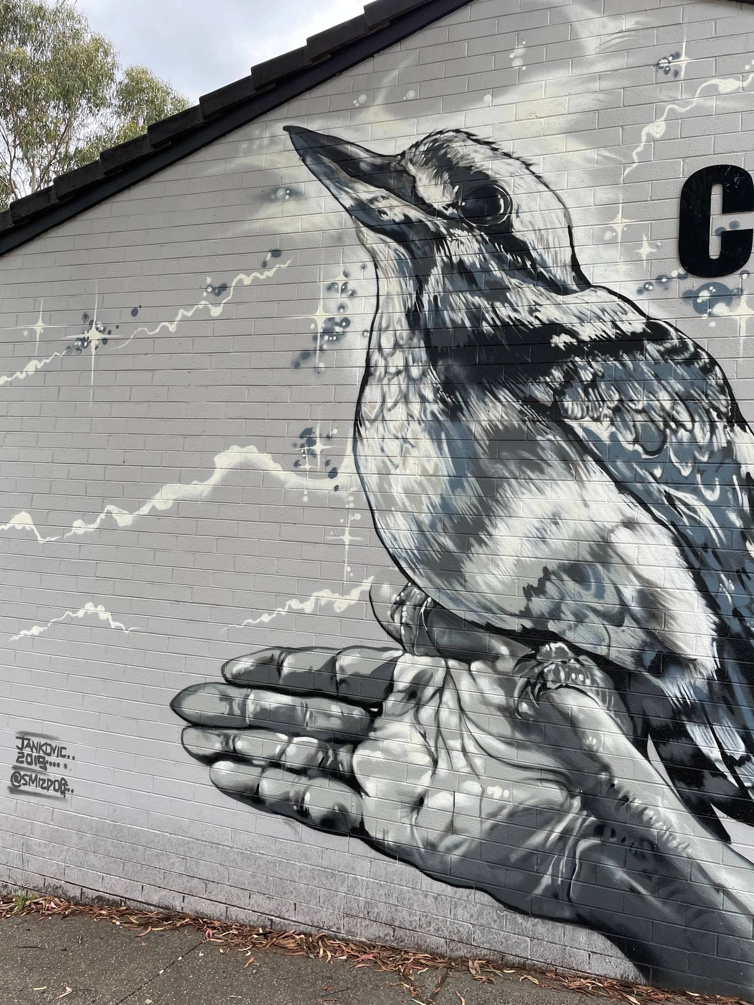 Smizdog&mdash;Carleton Street Shops Kookaburra