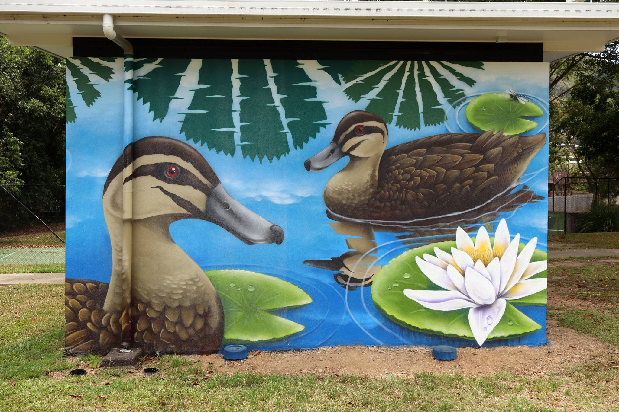 Daniel Wallwork&mdash;Duck Park